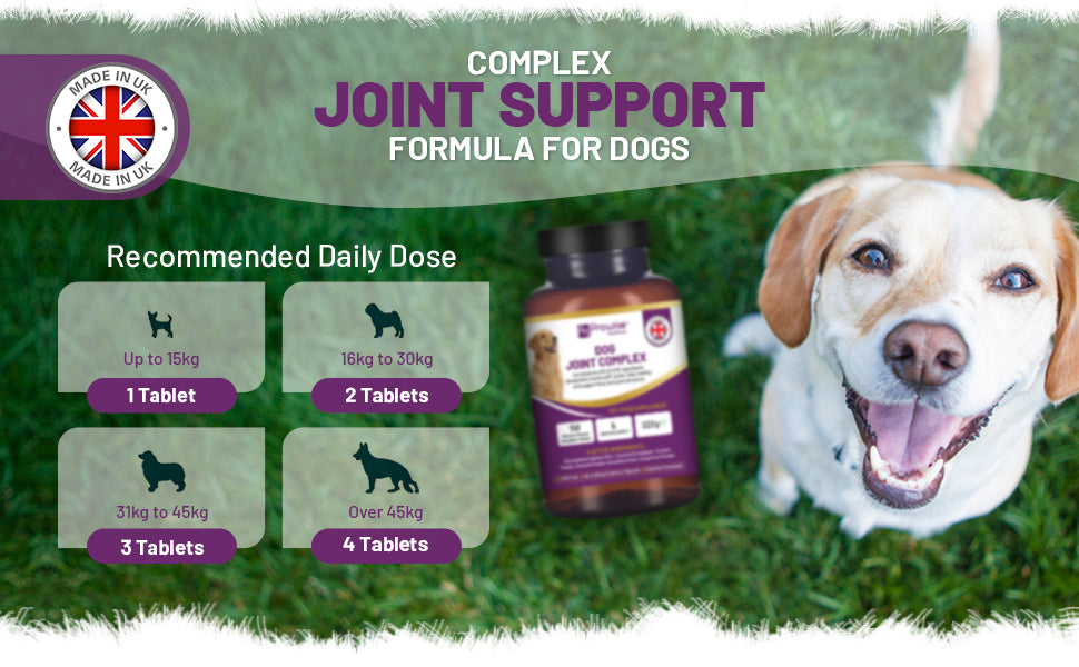 Prowise Dog Joint Support Chewable Tablets, 150 Tablets, 5 Month Supply