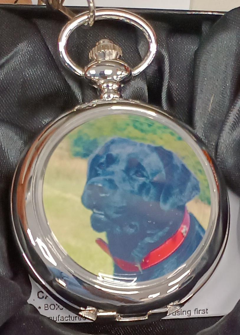 Boxx Picture Pocket watch Dog P5061.89