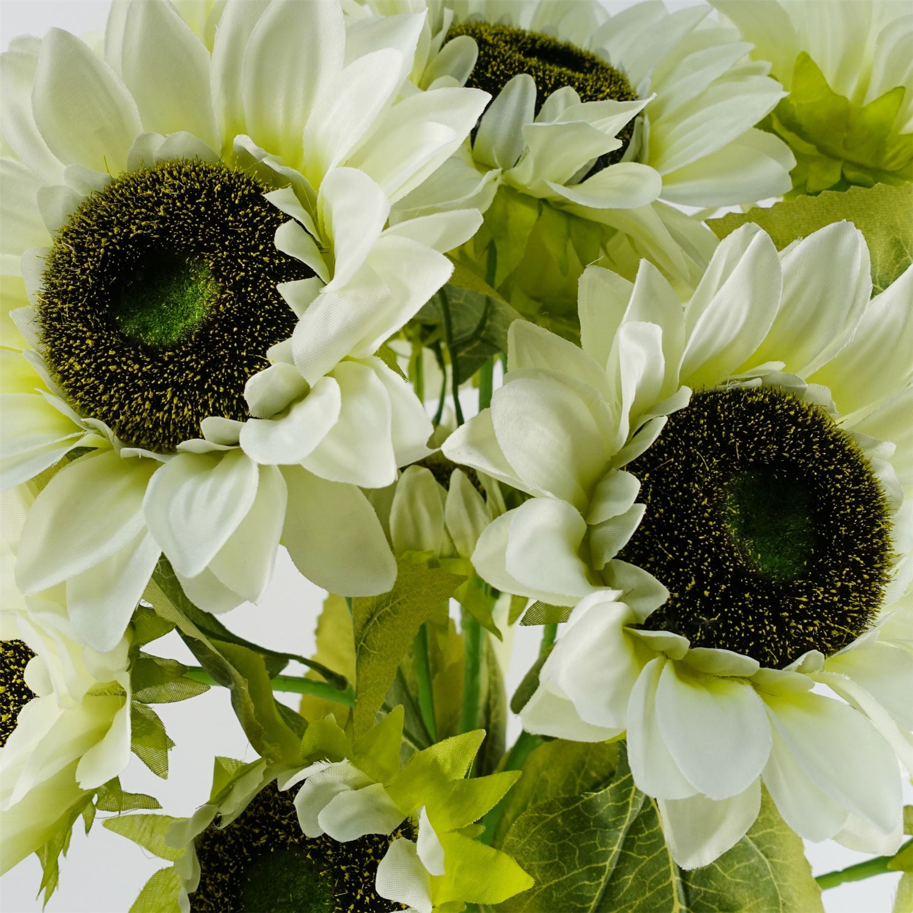 Leaf Pack of 6 White Artificial Sunflower Stems, 88cm, 18 Heads