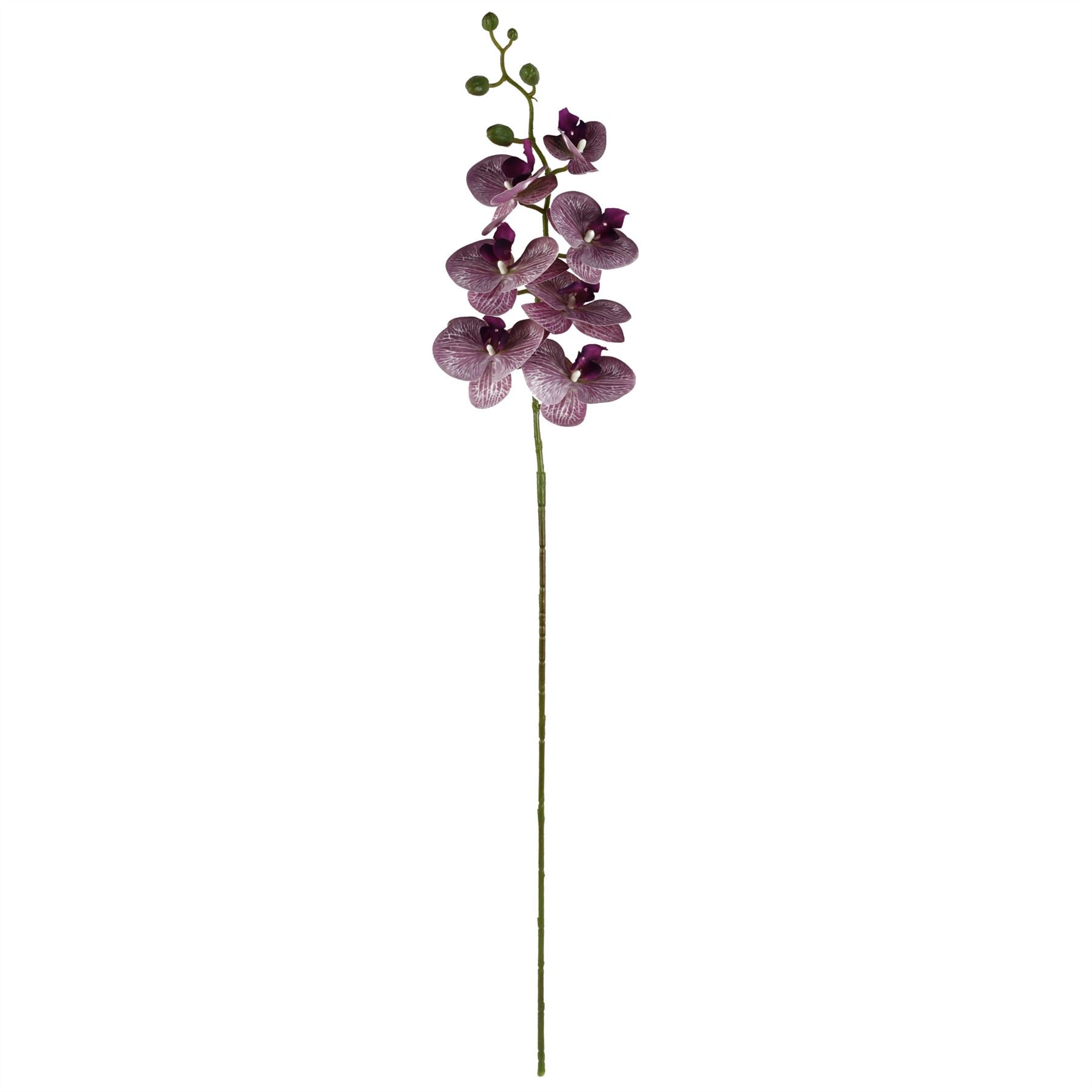 70cm Grey Glass Vase Artificial Orchids, Roses and Eucalyptus Arrangement