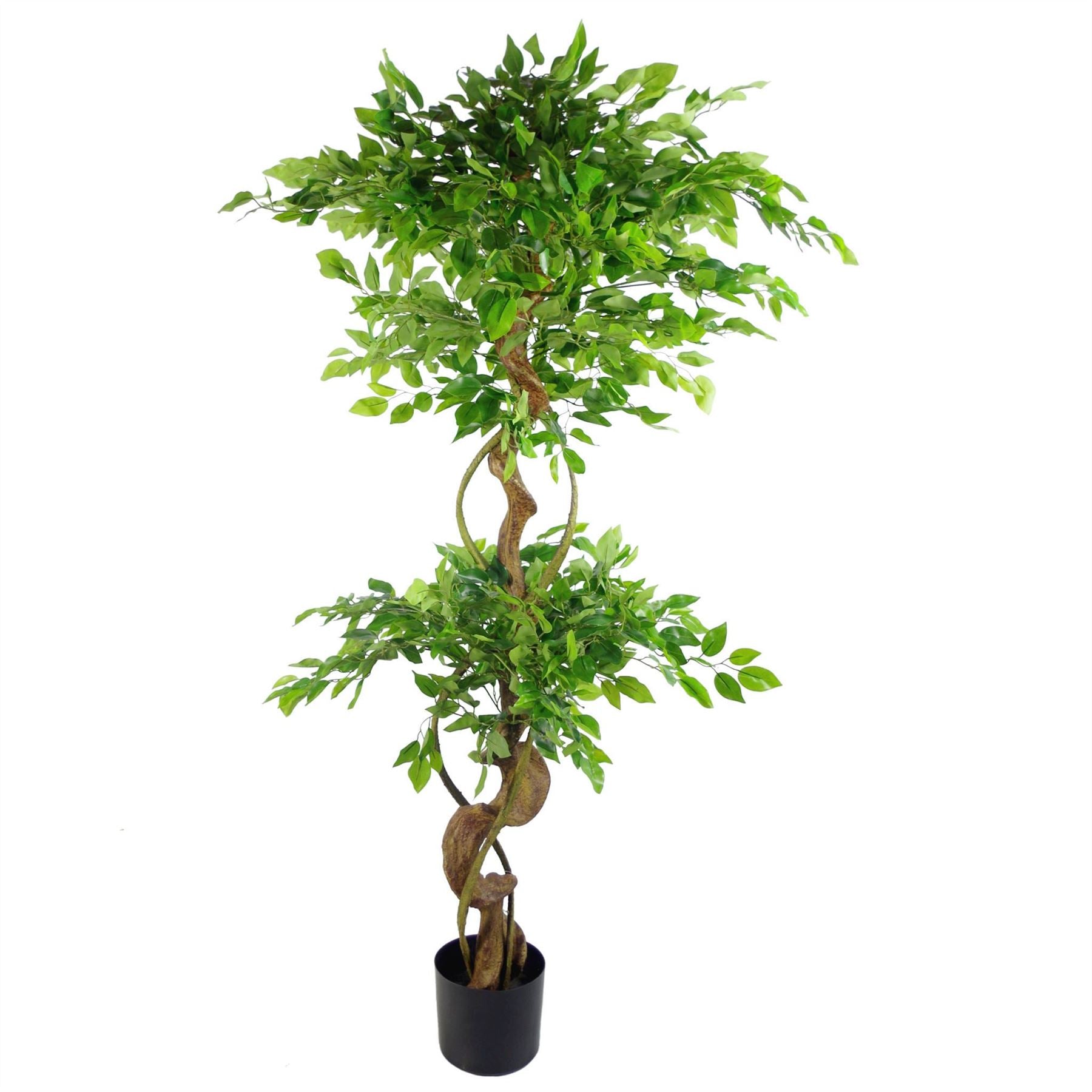 Leaf Design UK 150cm Artificial Twisted Ficus Tree in Weighted Pot