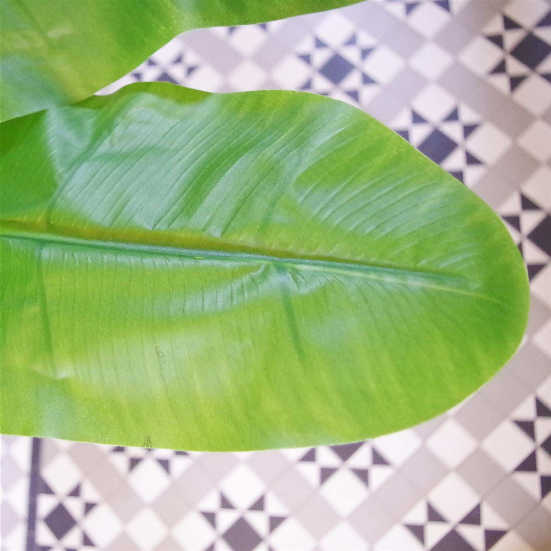 Leaf 180cm Artificial Banana Tree Tropical Plant with Large Realistic Printed Plastic Leaves