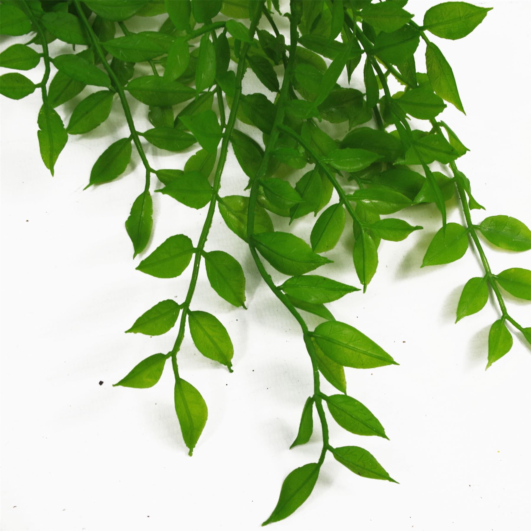 Leaf 100cm Hanging String of Pearls Fern Artificial Plant Light Green Bare Stem Unpotted