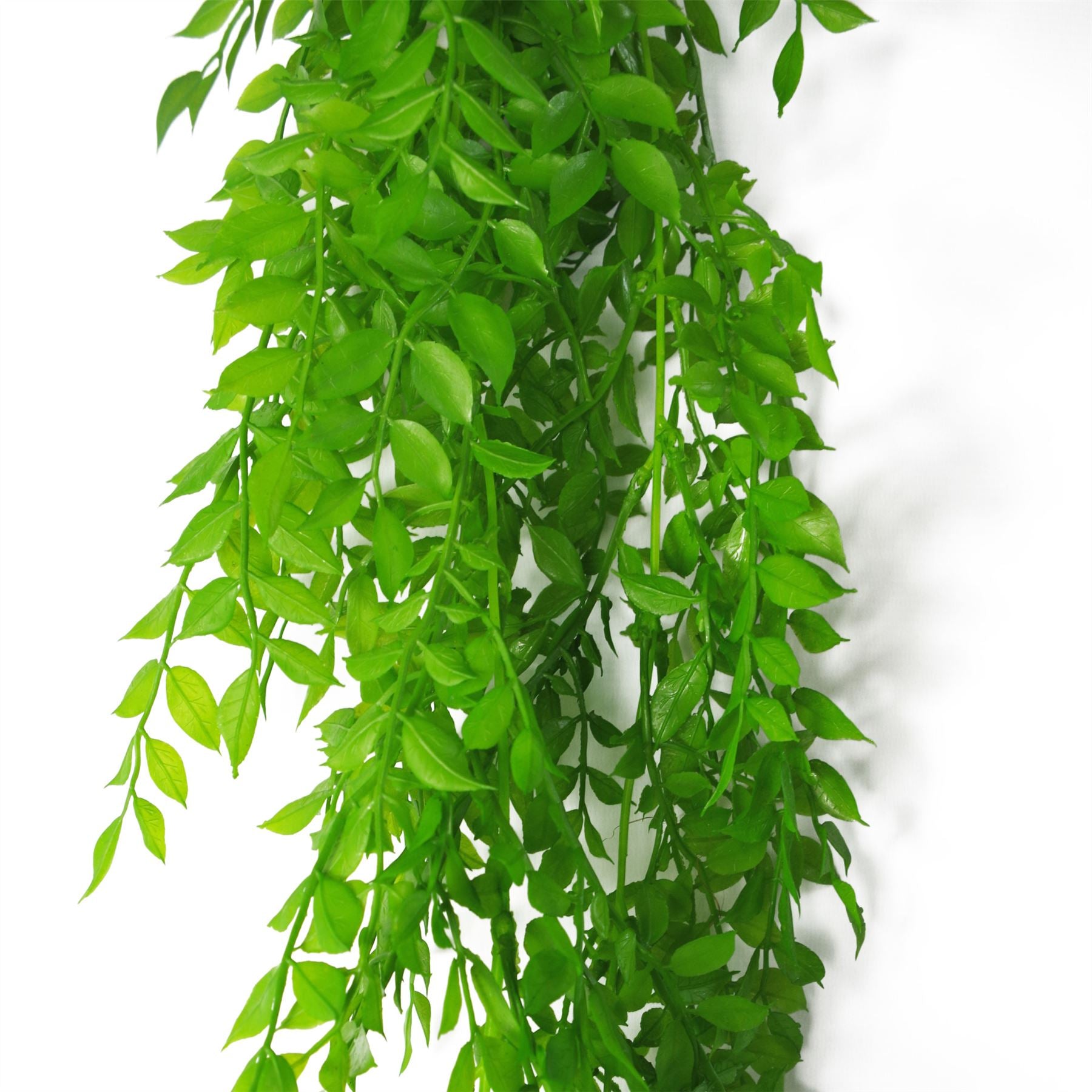 Leaf 100cm Hanging String of Pearls Fern Artificial Plant Light Green Bare Stem Unpotted