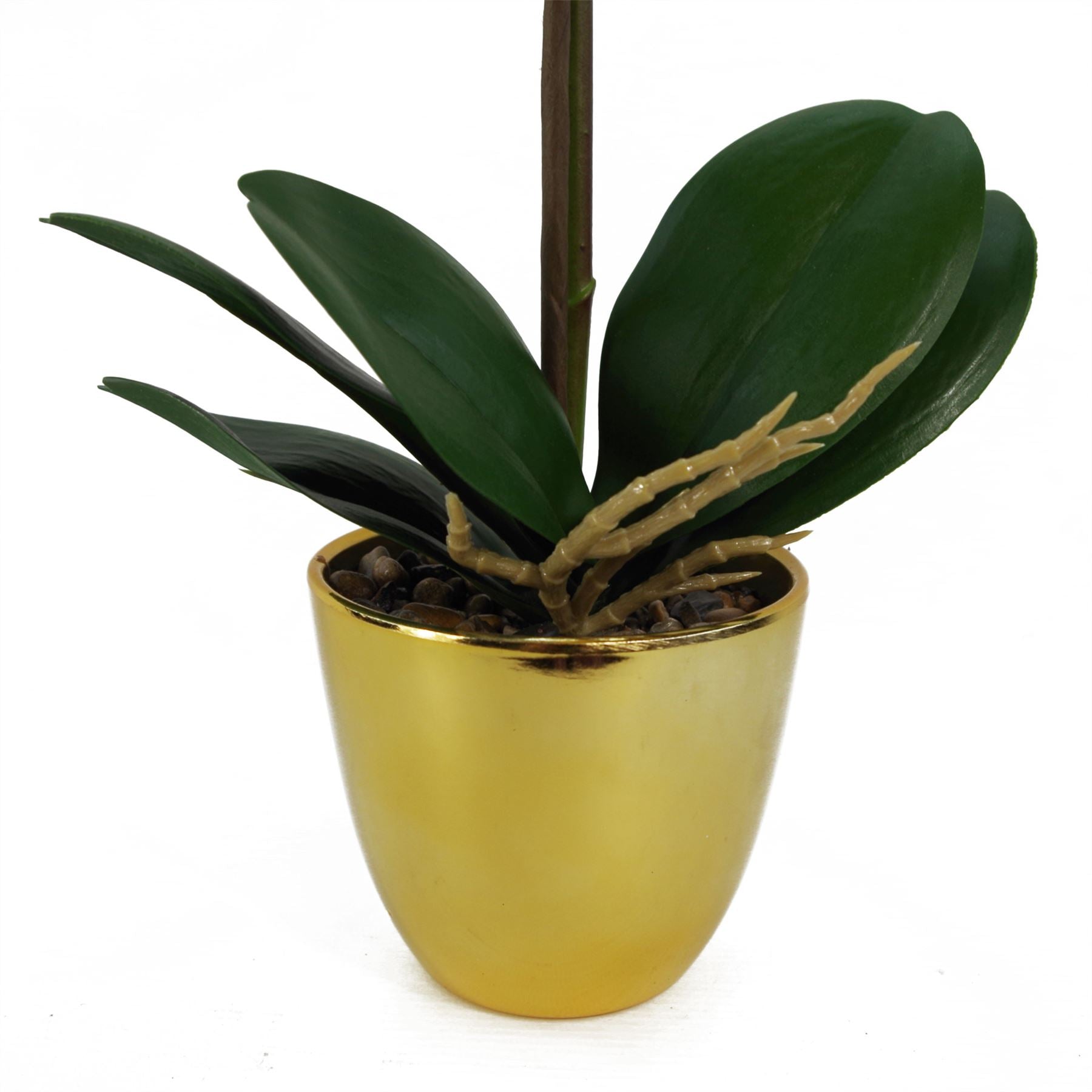 Leaf 48cm Artificial Harlequin Orchid with 9 Real Touch Flowers in Decorative Pot