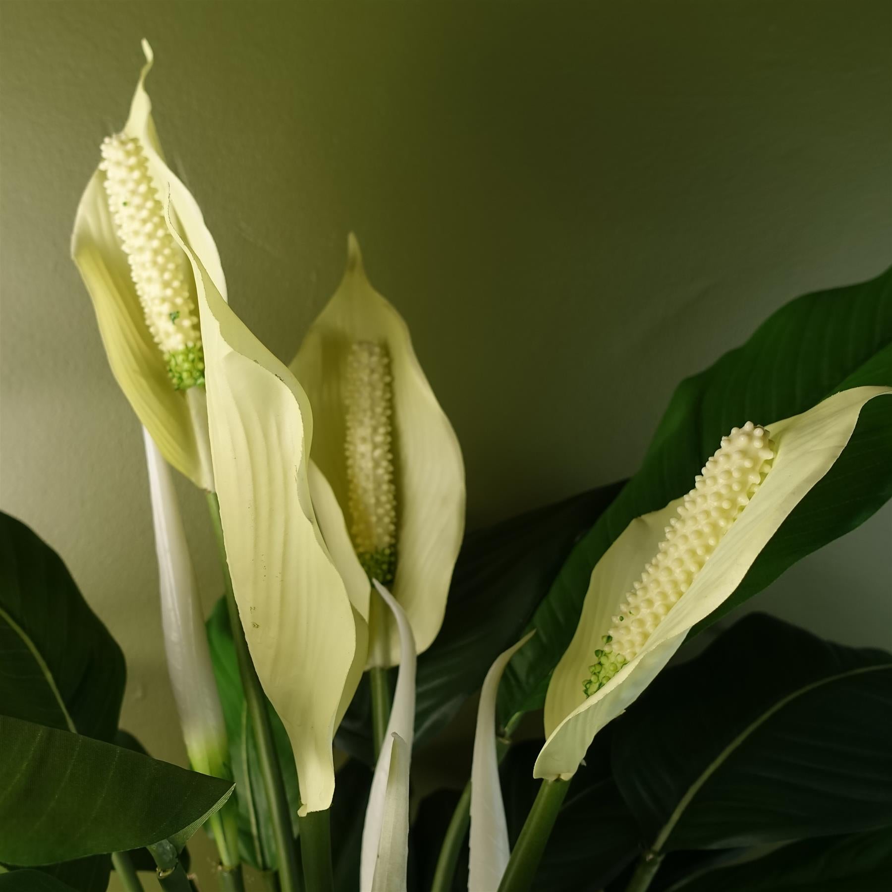 Leaf Artificial White Peace Lily Spathiphyllum in Weighted Pot, 60cm Tall