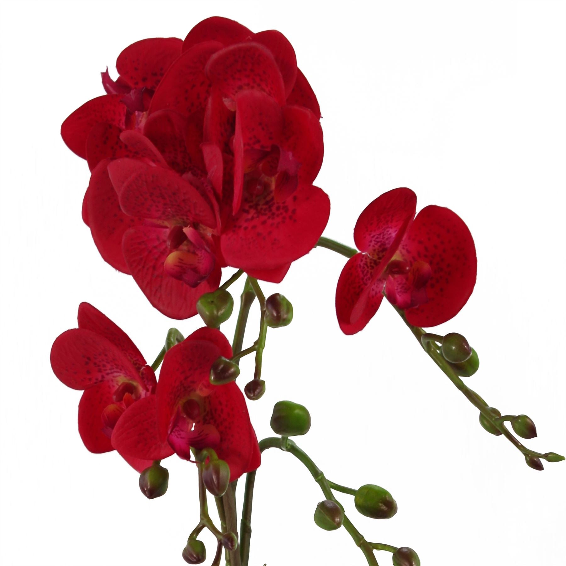 Leaf 50cm Artificial Phalaenopsis Orchid Plant with 10 Real Touch Flowers in Gold Plastic Pot
