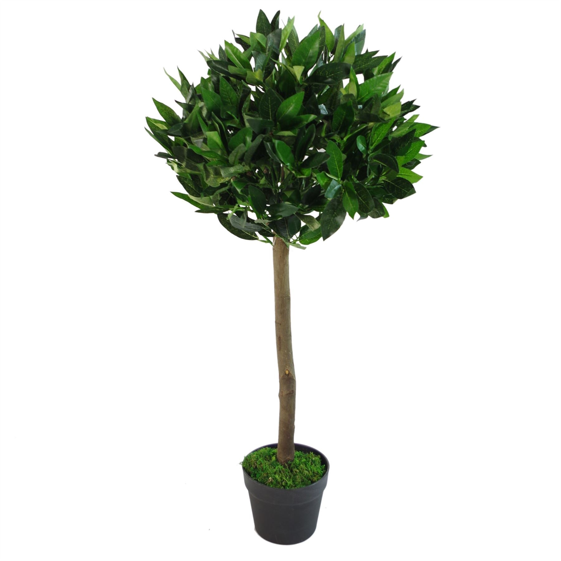 Leaf Deluxe Luxury Artificial Bay Leaf Laurel Topiary Tree Ball 90cm (3ft) Tall