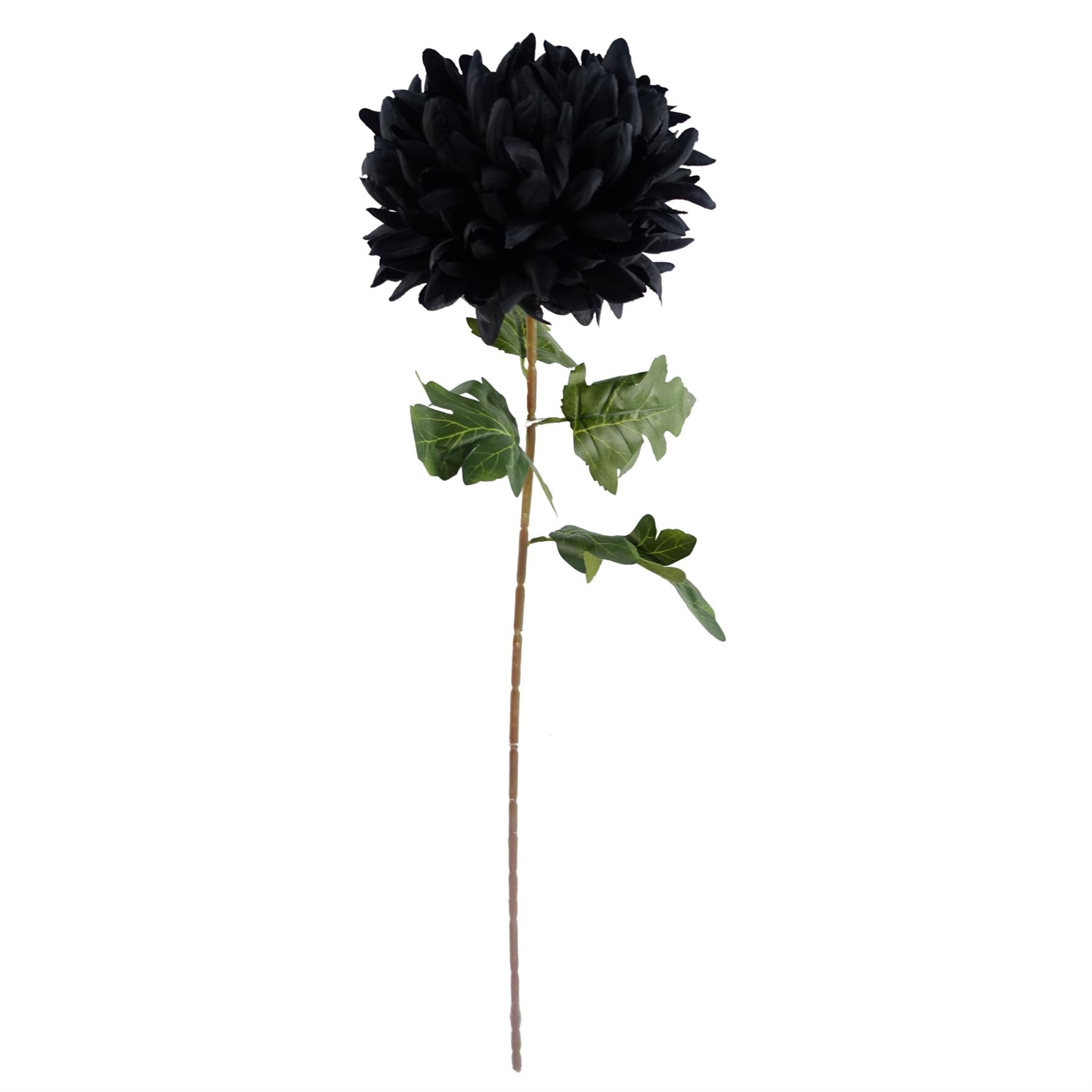 Leaf 75cm Extra Large Black Silk Reflex Chrysanthemum Artificial Flower Stem