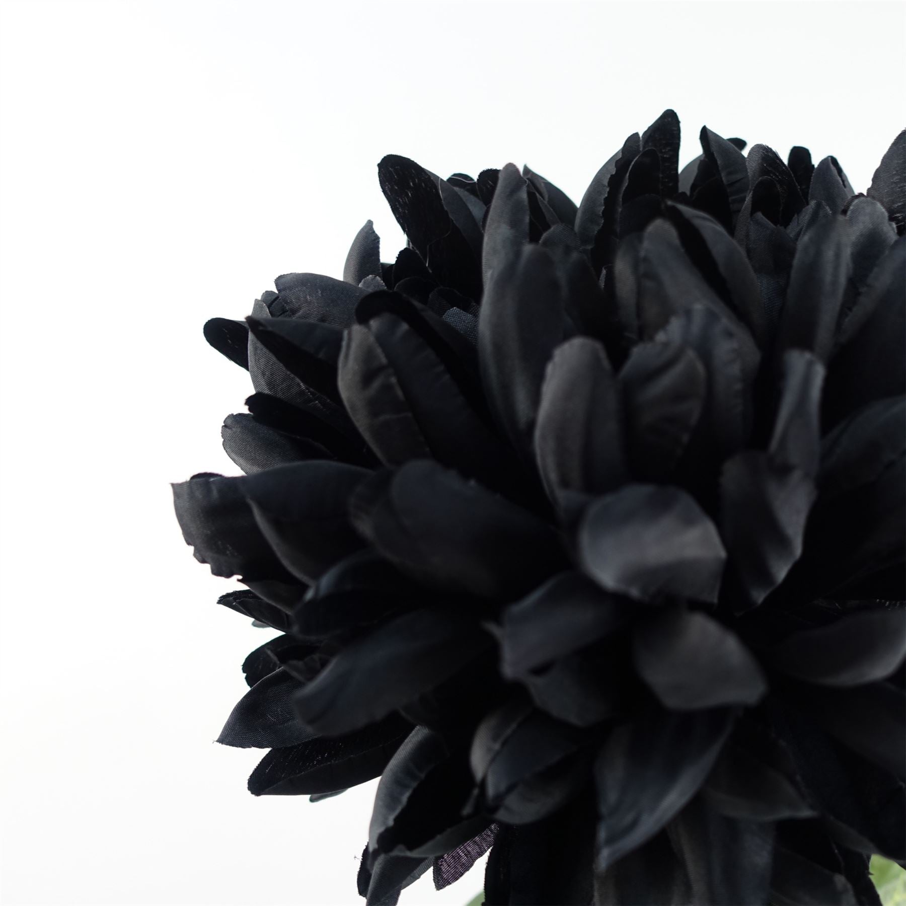 Leaf 75cm Extra Large Black Silk Reflex Chrysanthemum Artificial Flower Stem