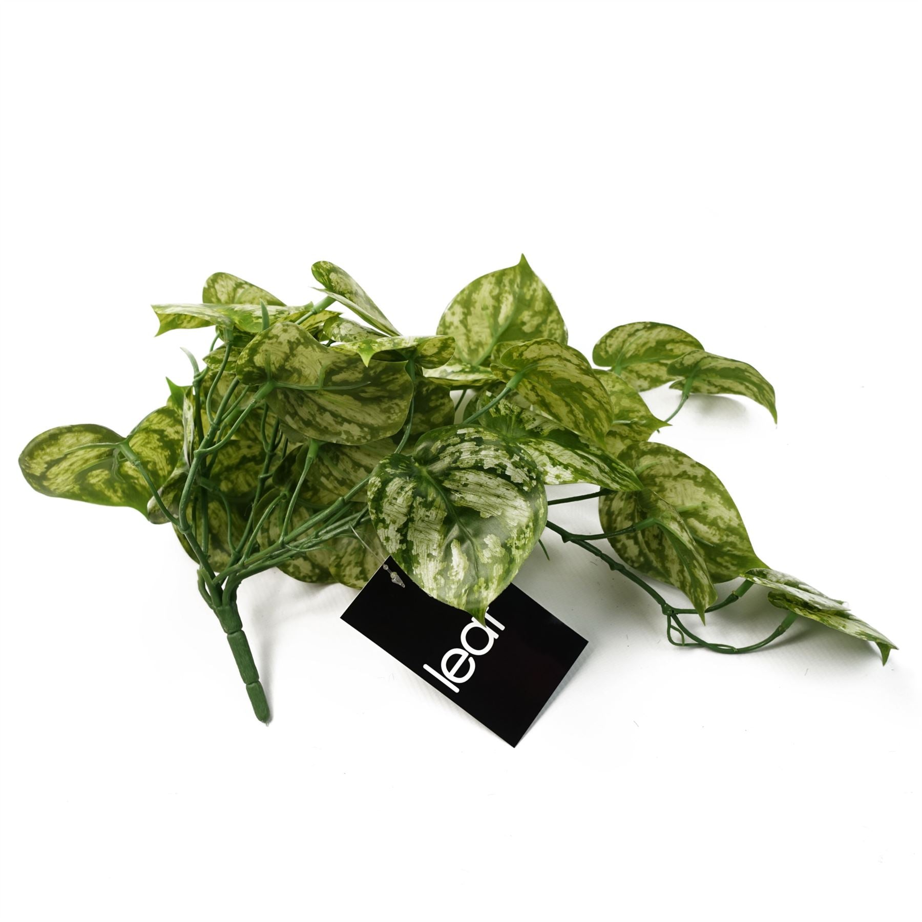 Leaf 35cm Artificial Trailing Light Green Plant Bare Stem