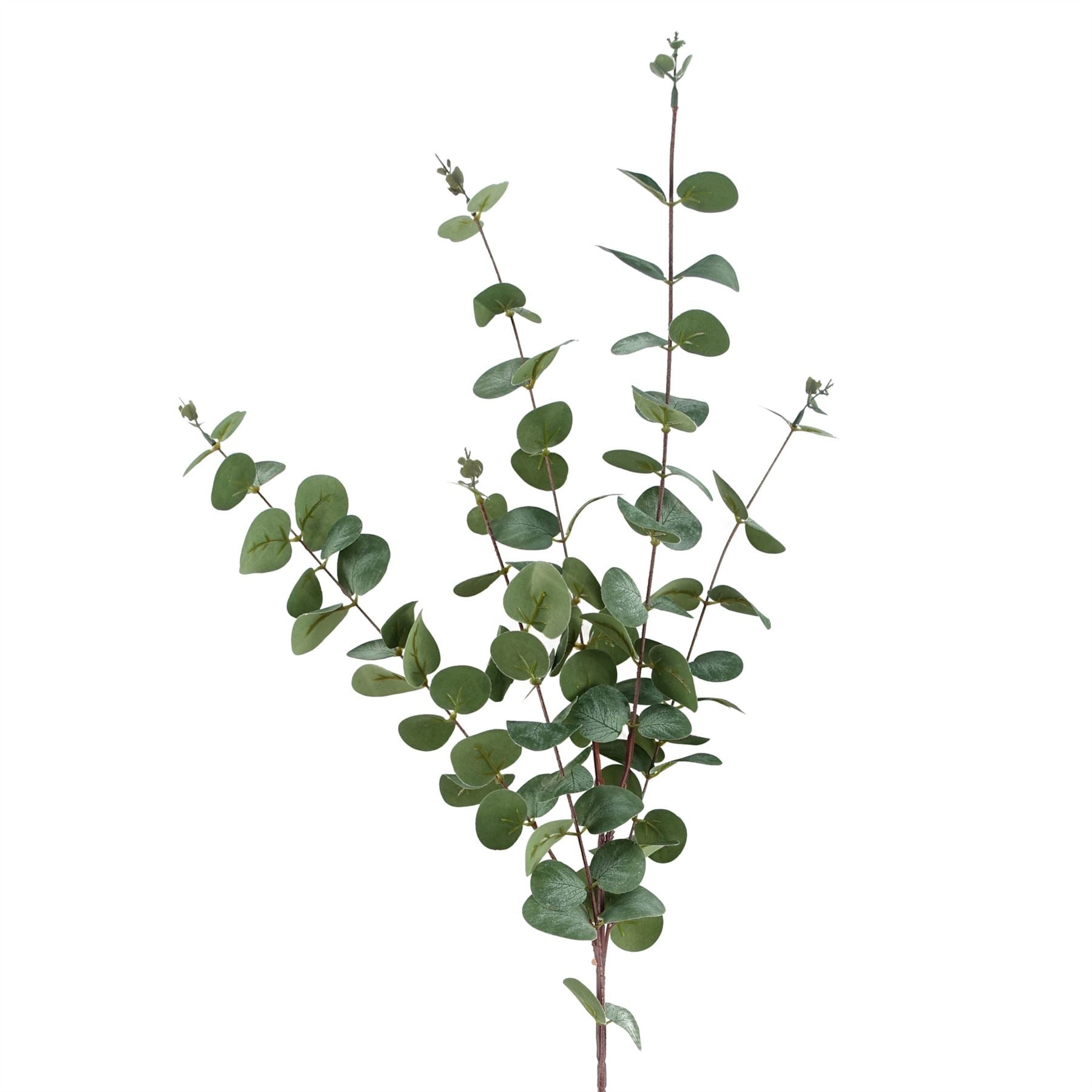Pack of 6 Artificial Eucalyptus Foliage Stems 100cm with Silk Leaves
