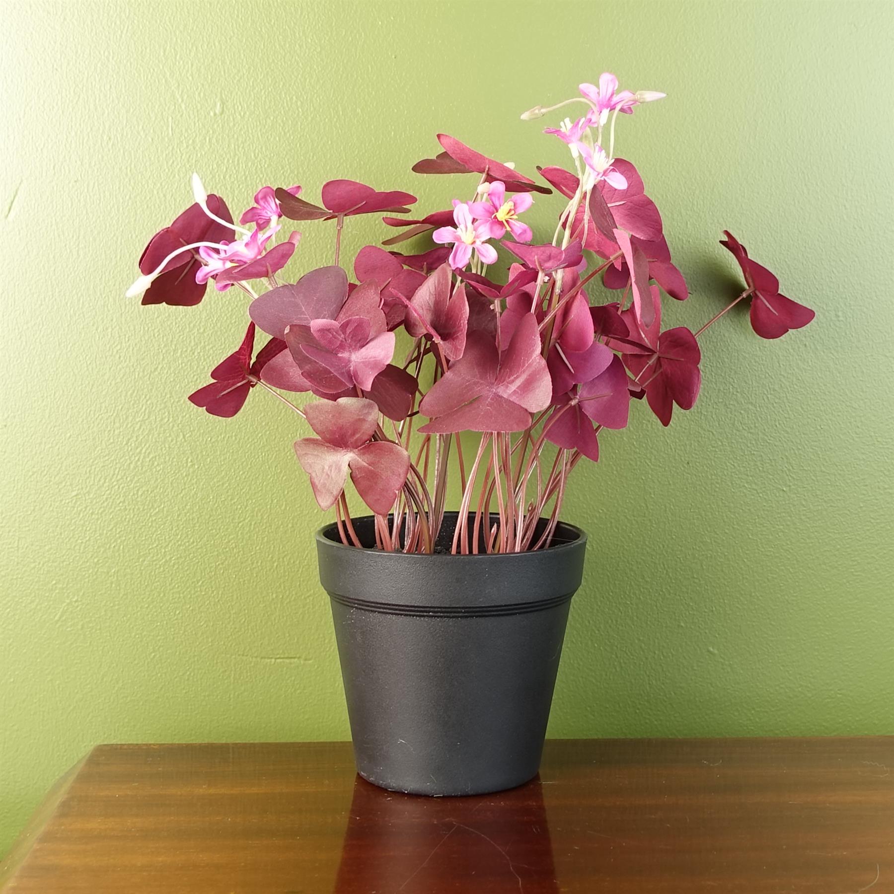 Leaf Artificial Purple Shamrock Plant in Black Plastic Pot, 30cm Tall
