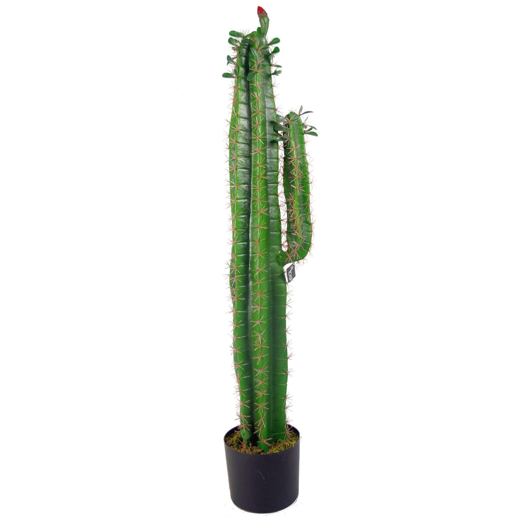 Leaf 110cm Premium Artificial Cactus with Weighted Pot