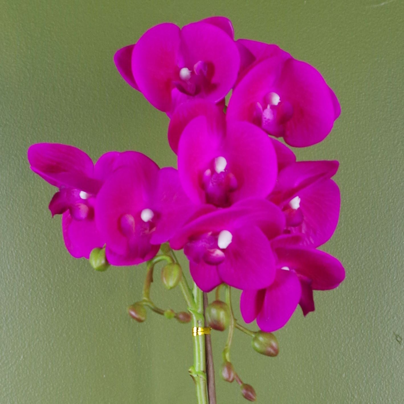 Leaf 50cm Artificial Phalaenopsis Orchid in Silver Decorative Pot - Dark Pink