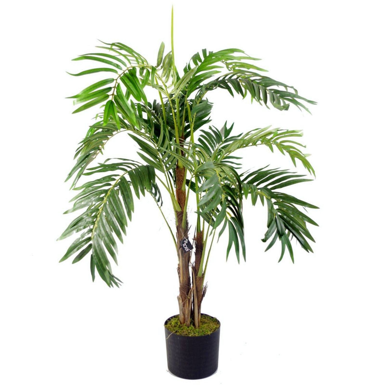 Leaf Design UK 120cm Realistic Artificial Palm Tree in Moss Covered Pot