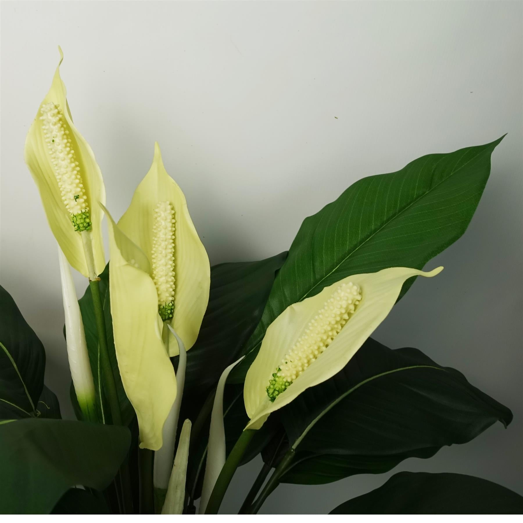 Leaf Artificial White Peace Lily Spathiphyllum in Weighted Pot, 60cm Tall, Indoor Artificial Plant