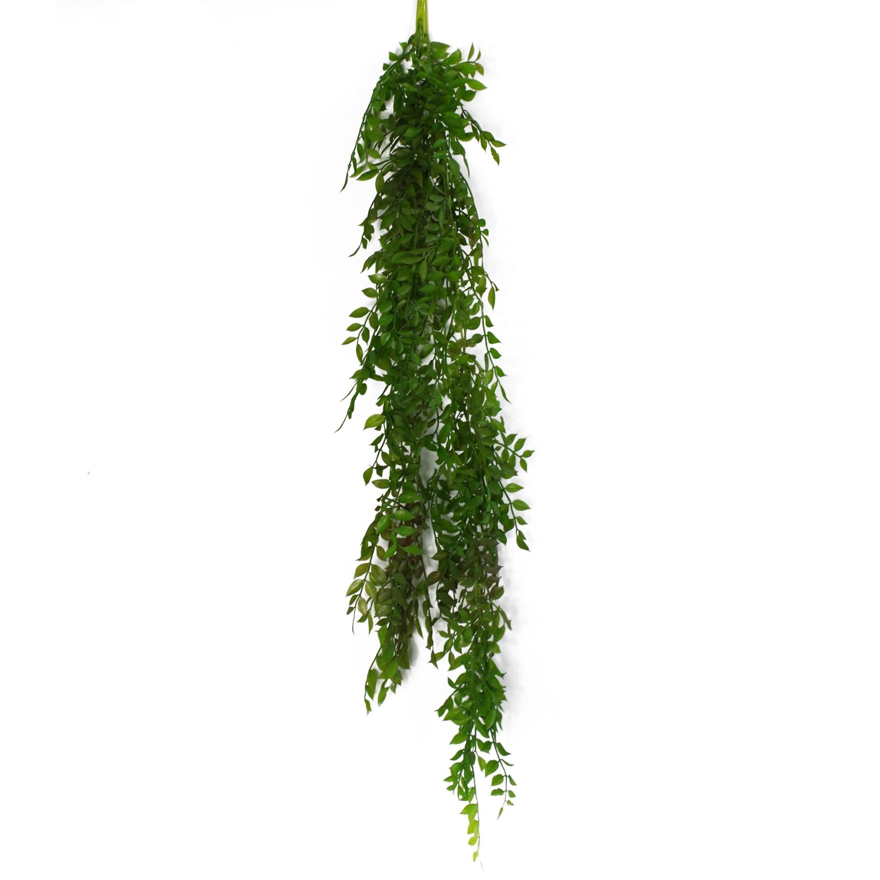 Leaf 100cm Artificial Hanging String of Pearls Fern Plant Dark Green, Bare Stem, Unpotted