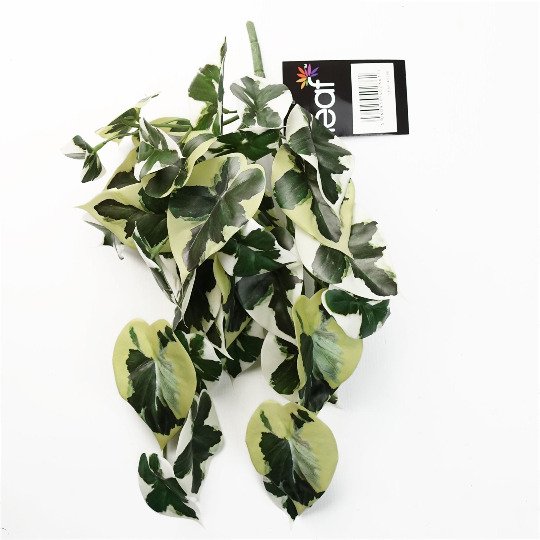 Leaf 40cm Artificial Trailing Variegated Marble Pothos Plant, Bare Stem, No Planter Included