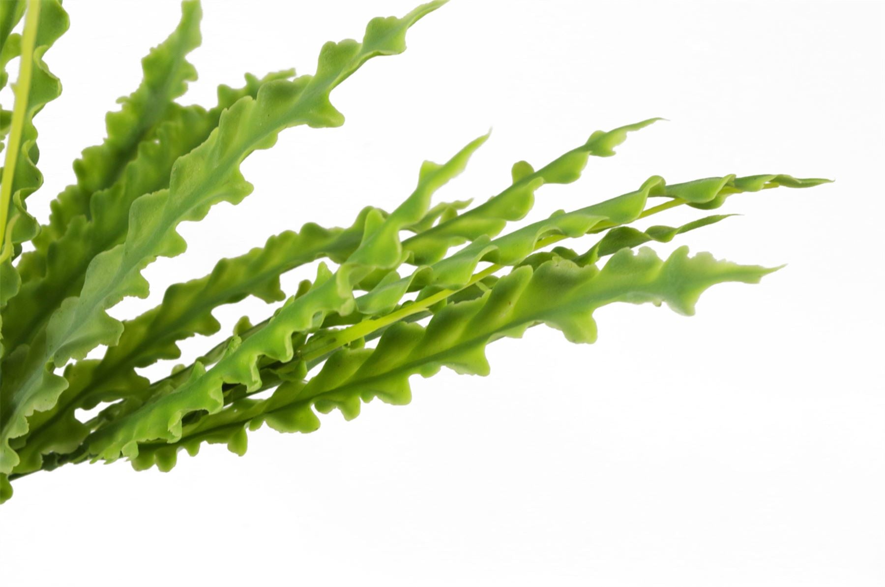 Leaf Artificial Crocodile Fern Plant 40cm Bare Stem Unpotted