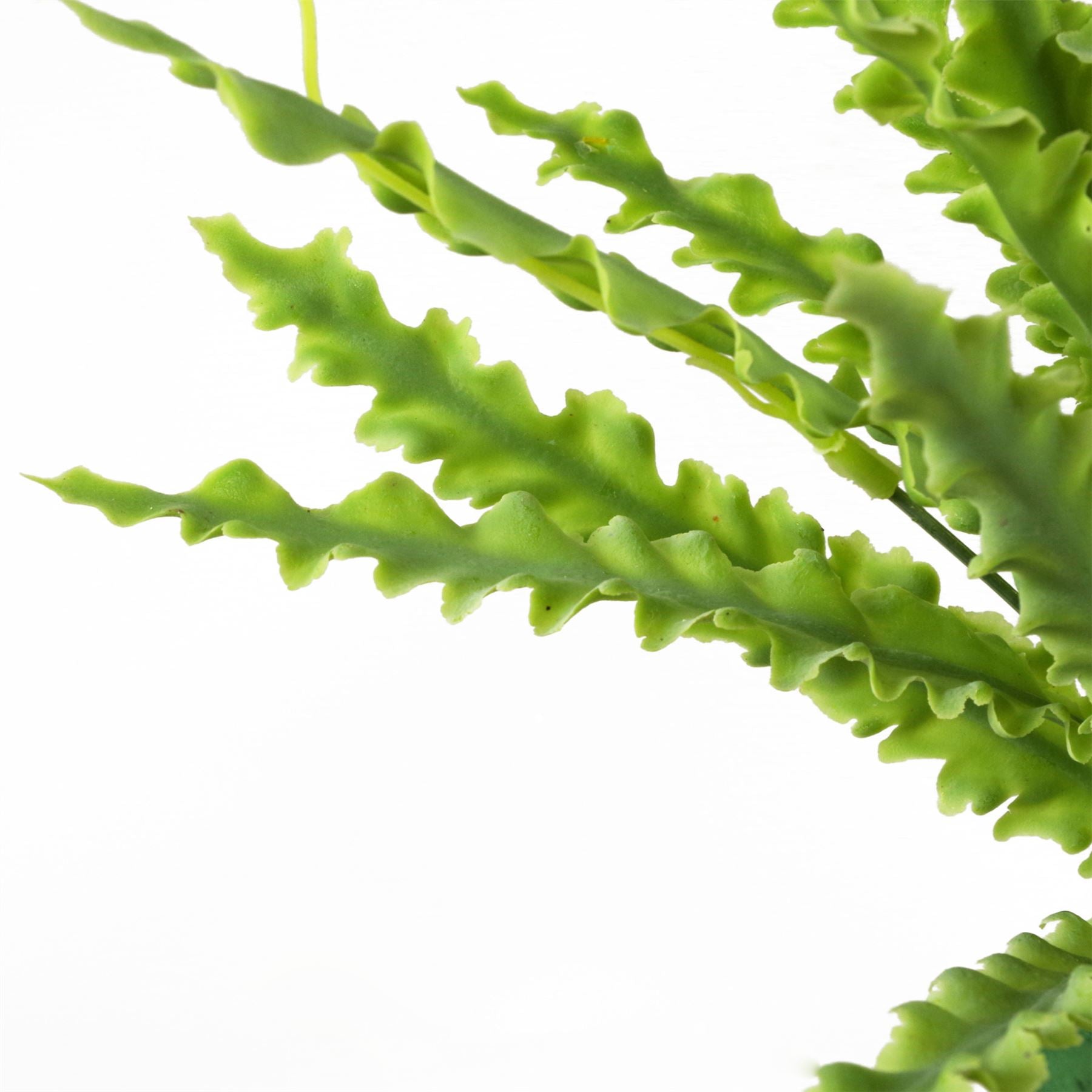Leaf Artificial Crocodile Fern Plant 40cm Bare Stem Unpotted