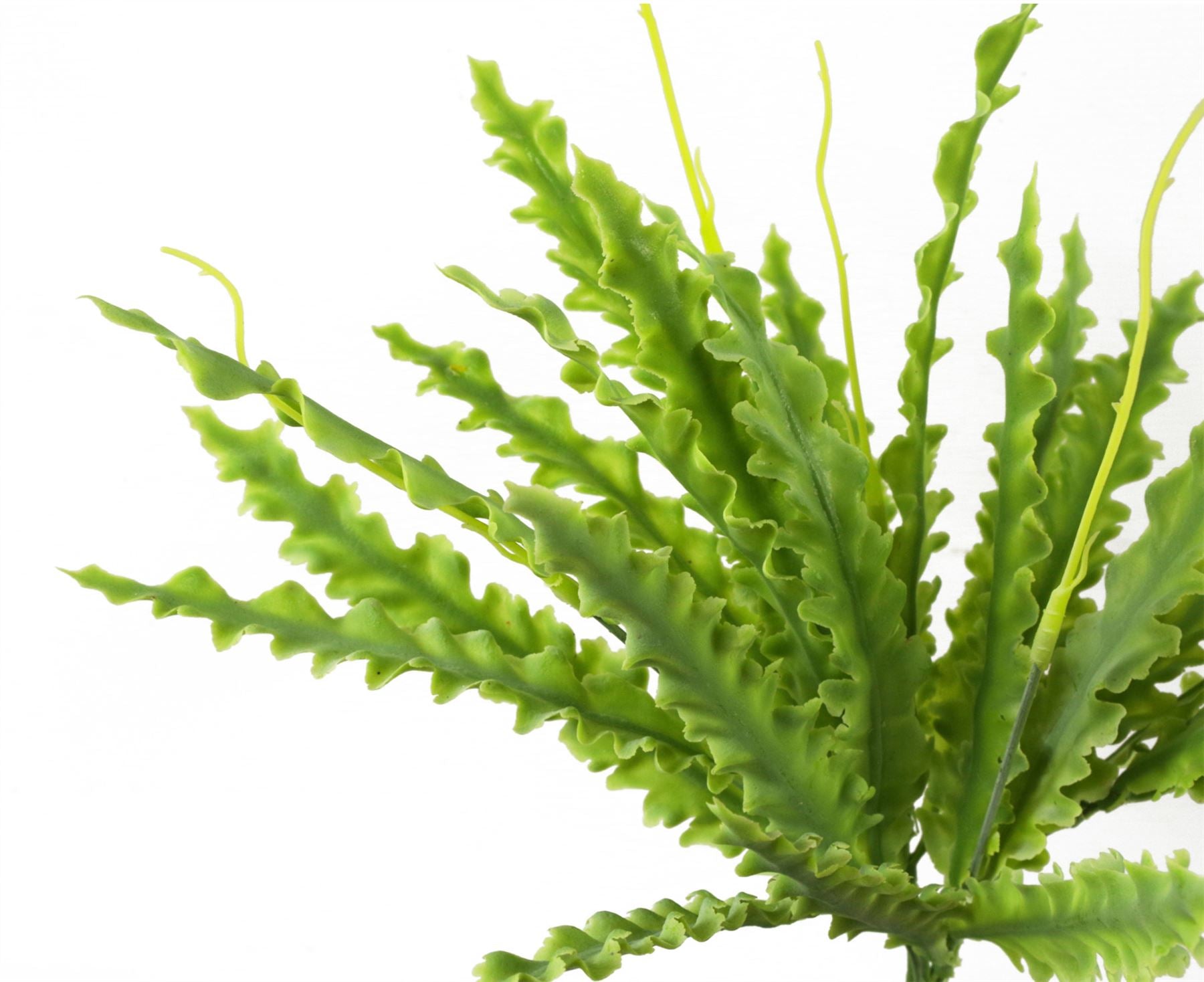 Leaf Artificial Crocodile Fern Plant 40cm Bare Stem Unpotted