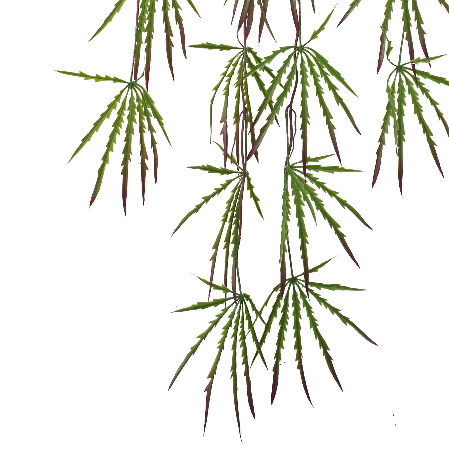 Pack of 12 Artificial Hanging Acer Spider Plant 100cm Leaf