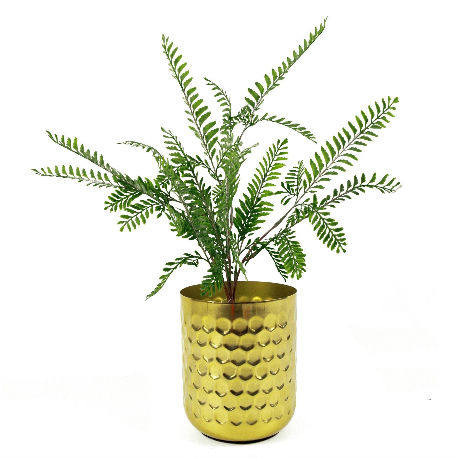 Himilayan Maidenhair Fern Bush 55cm Dark Green Artificial Plant by Leaf