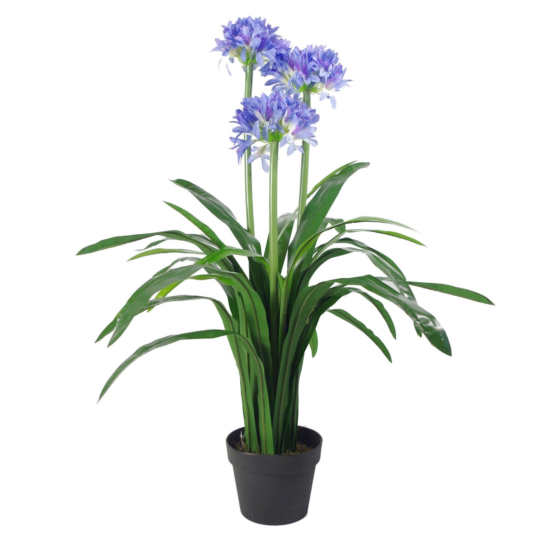 Leaf Design UK 90cm Artificial Agapanthus Plant in Weighted Pot
