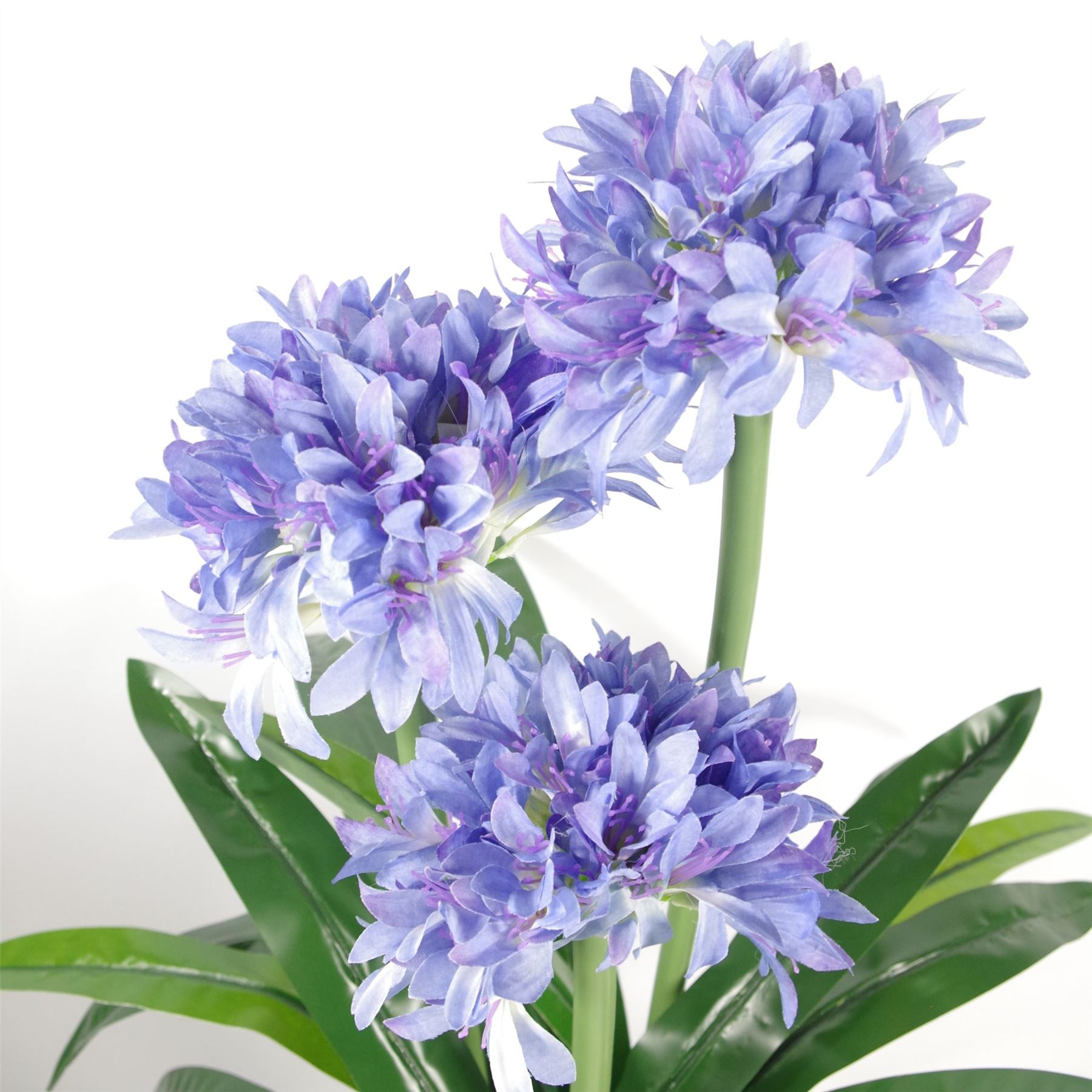 Leaf Design UK 90cm Artificial Agapanthus Plant in Weighted Pot