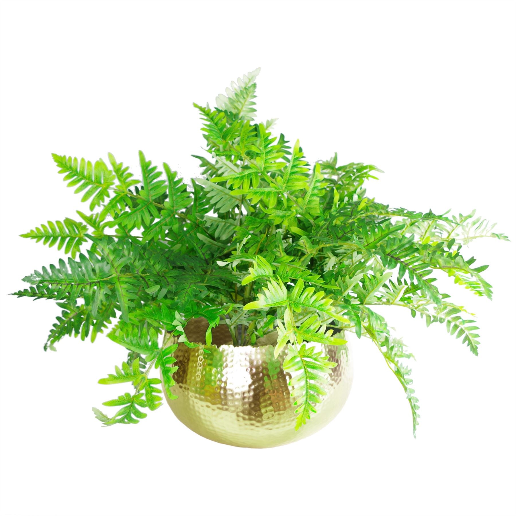 Leaf Large Hammered Gold Metal Planter Bowl 32 x 20cm Curvy Edge