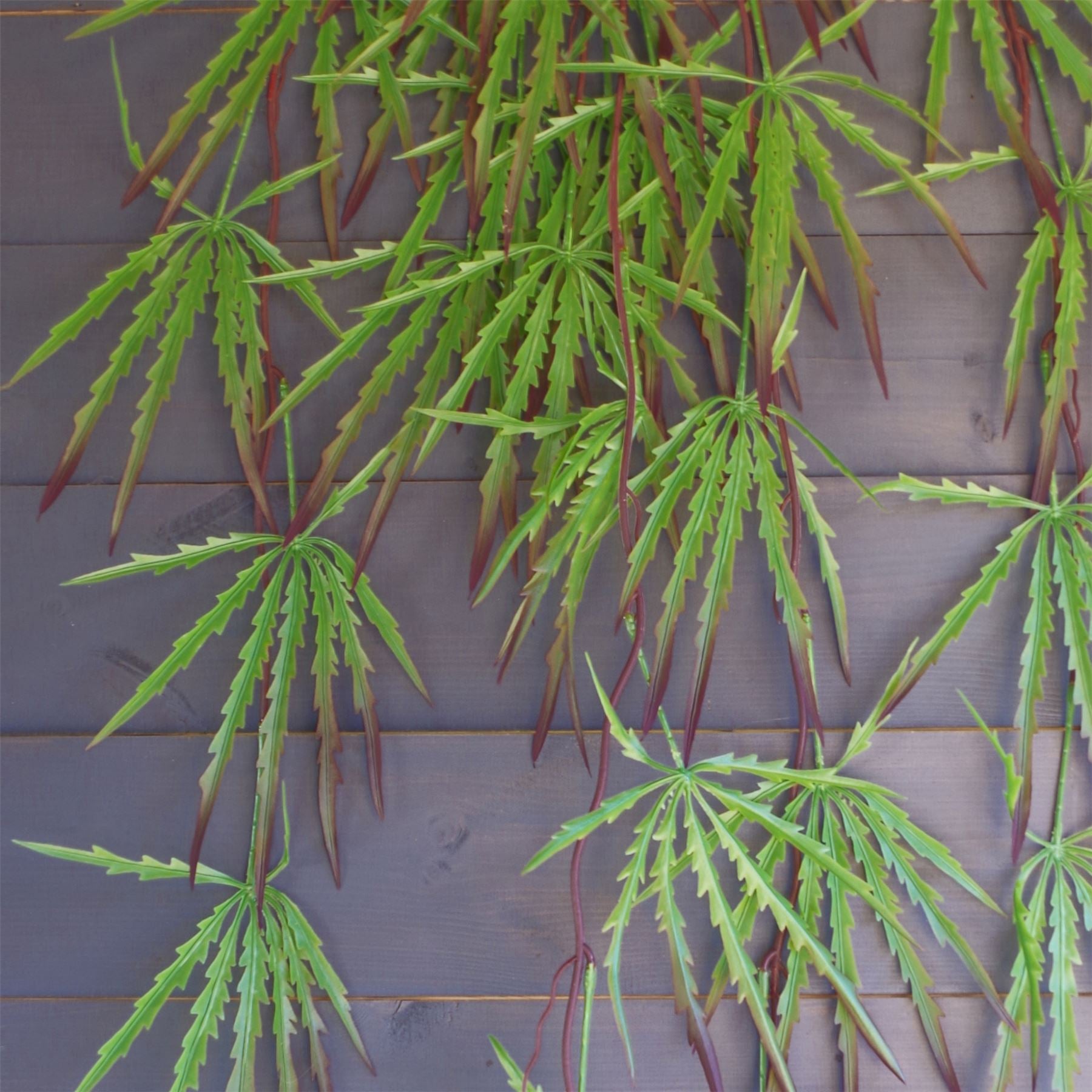 Pack of 12 Artificial Hanging Acer Plants, 100cm Long