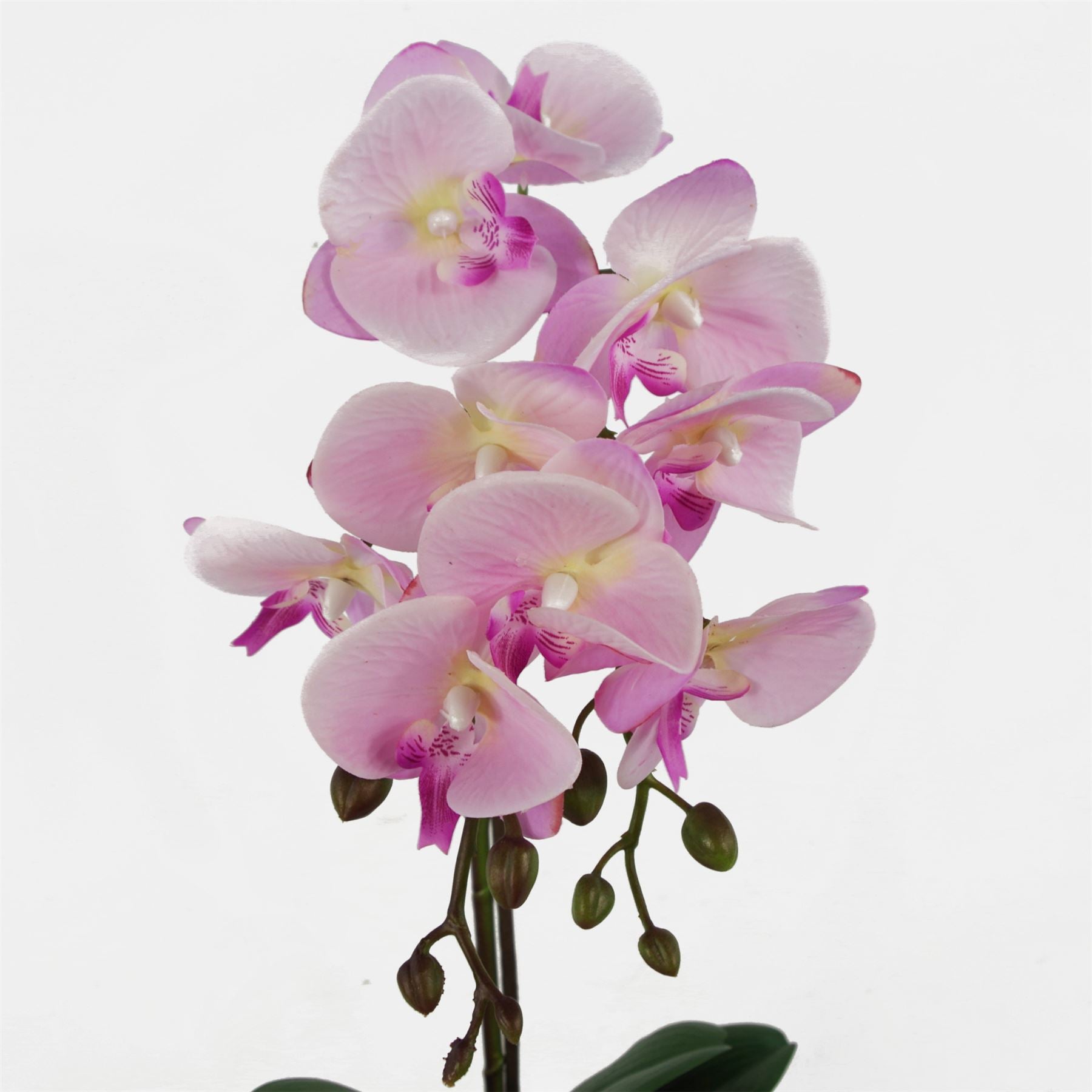 Leaf 50cm Artificial Phalaenopsis Orchid Plant, Light Pink, Silver Honeycomb Pot