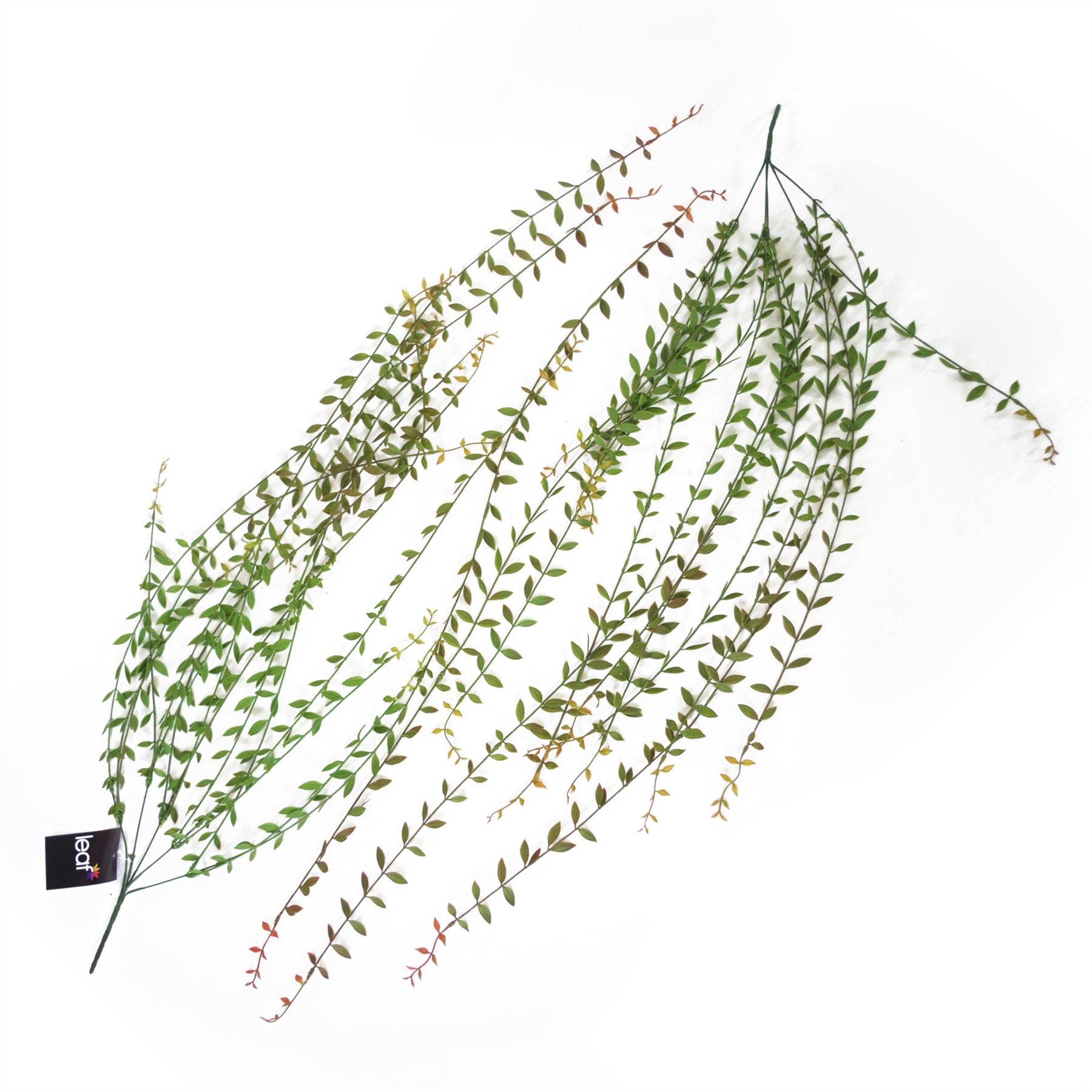 Leaf 120cm Artificial Hanging String of Pearls Plant Extra Long