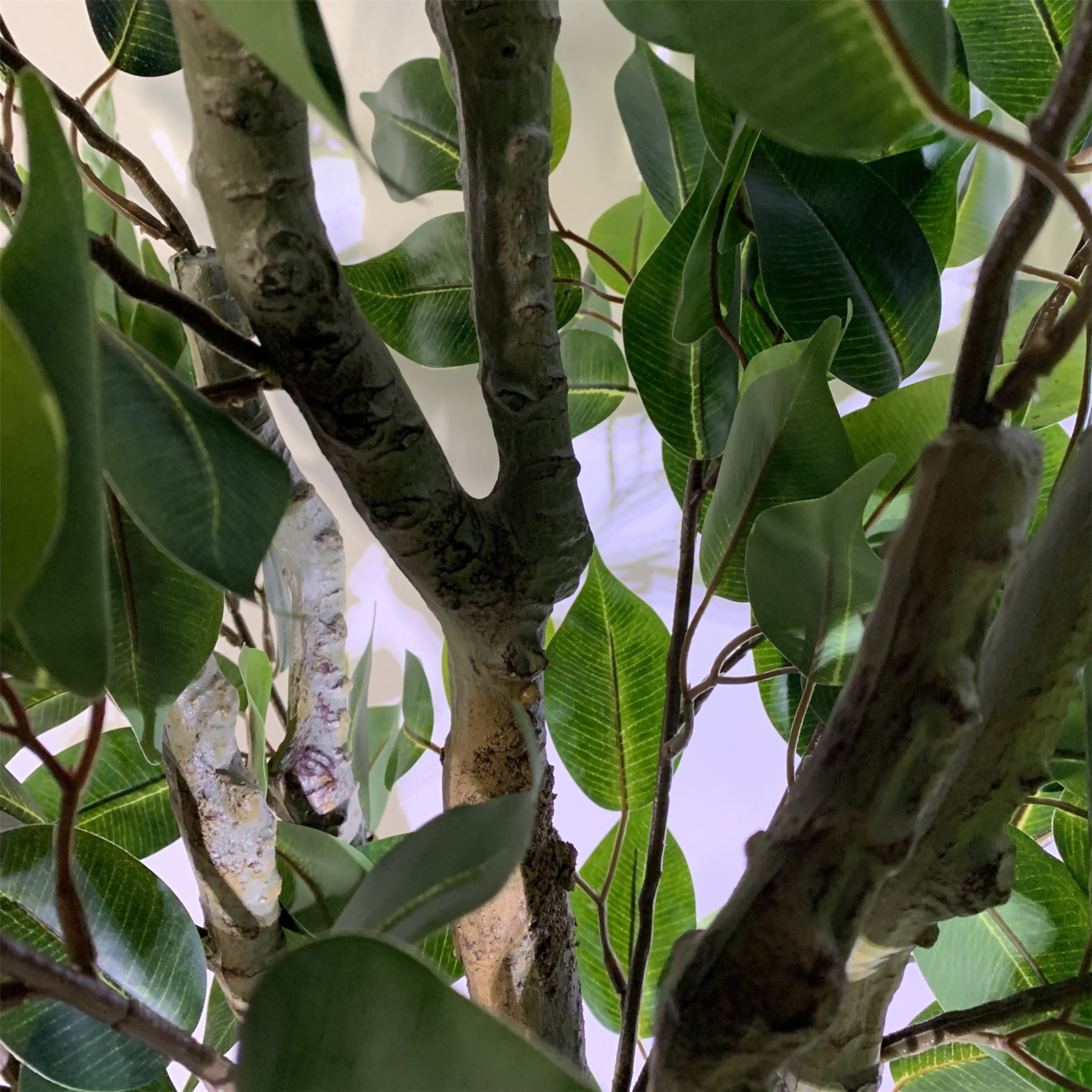 100cm Premium Artificial Ficus Twist Tree with Decorative Planter