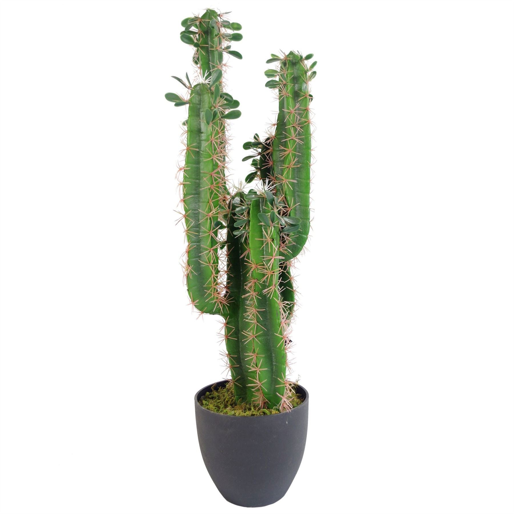 Leaf Design Tropical Artificial Cactus 75cm Tall in Weighted Plastic Pot