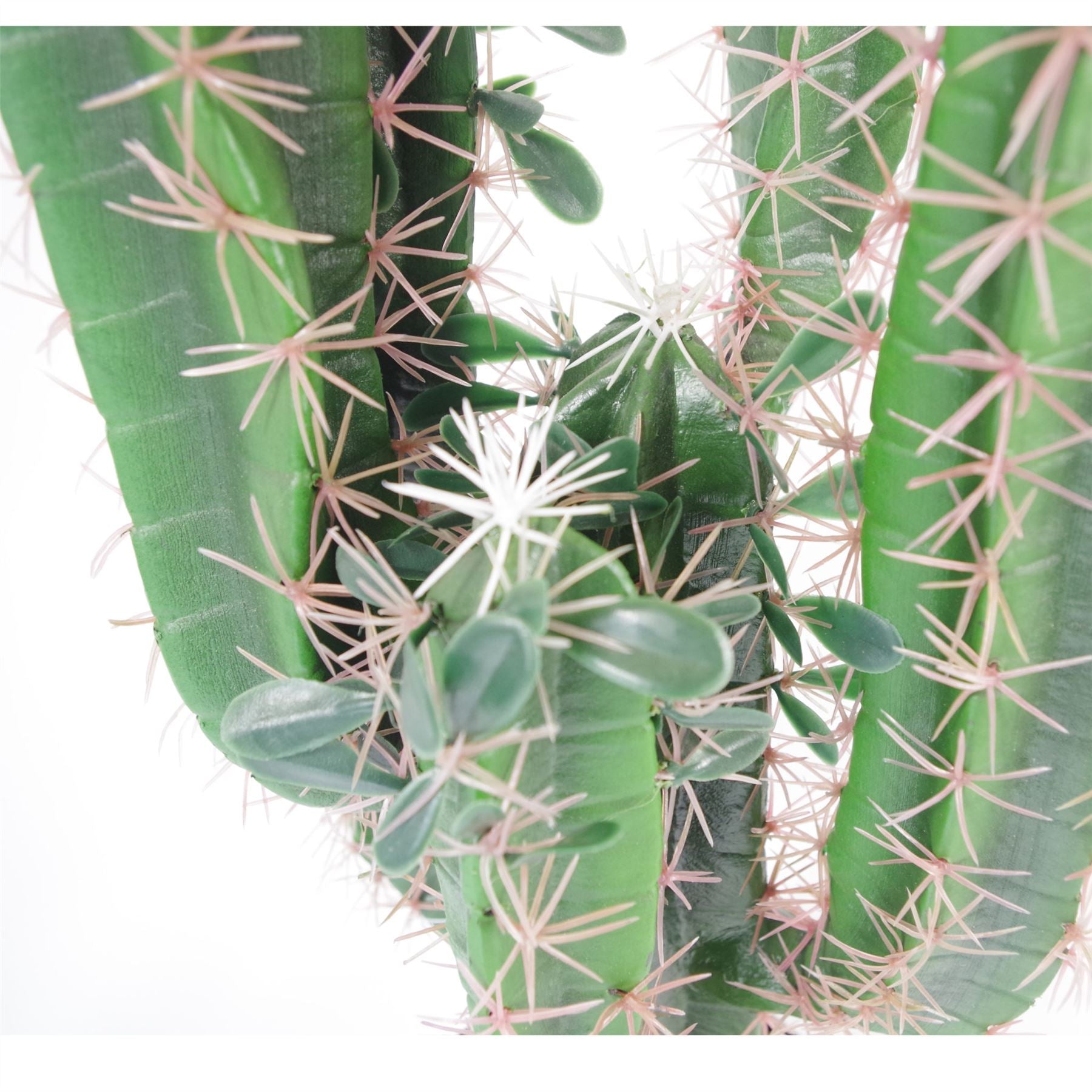 Leaf Design Tropical Artificial Cactus 75cm Tall in Weighted Plastic Pot