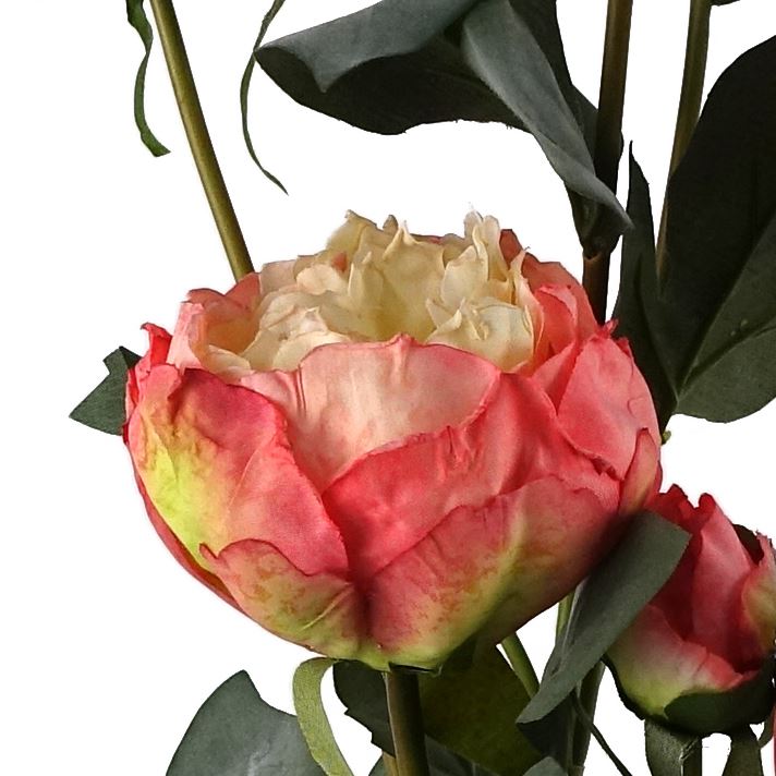 Leaf 6 x 55cm Pink Peony Artificial Flower Stem Bundle - 24 Flowers, 18 Buds