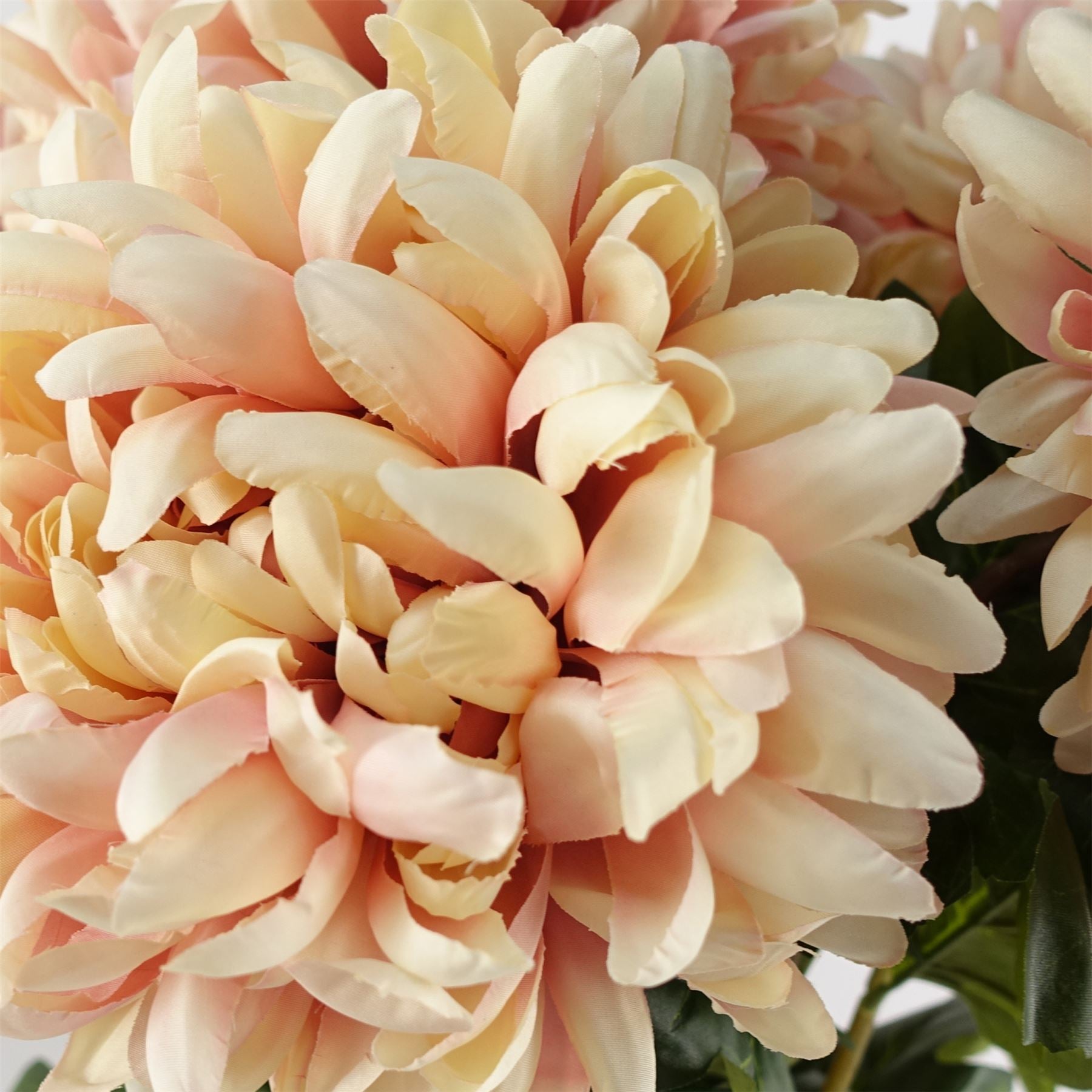 Leaf 75cm Extra Large Pink Reflex Chrysanthemum Silk Flower Stem