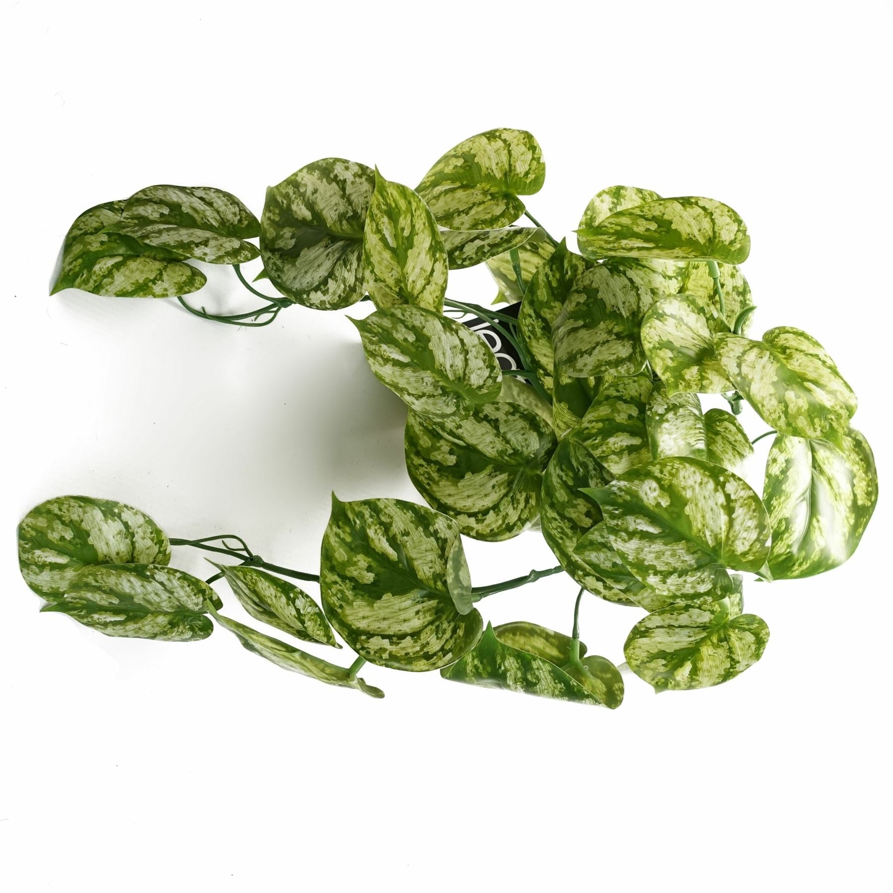 Leaf 35cm Artificial Trailing Light Plant, Realistic Natural Look, Bare Stem, No Planter Included