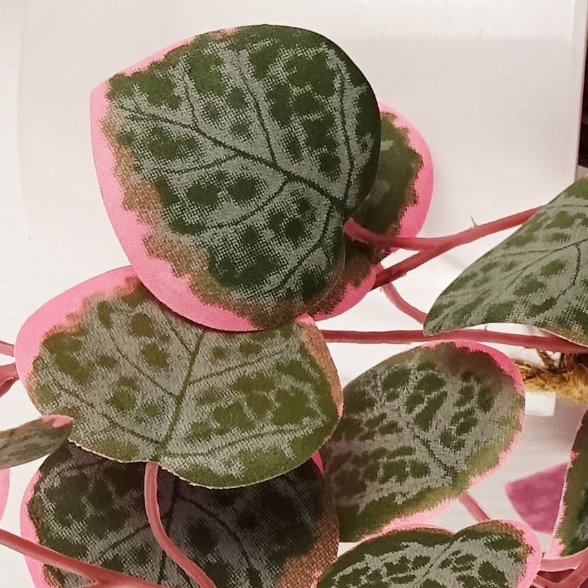 Leaf Artificial String of Hearts Hanging Plant in Potted White Decorative Hanging Pot 90cm