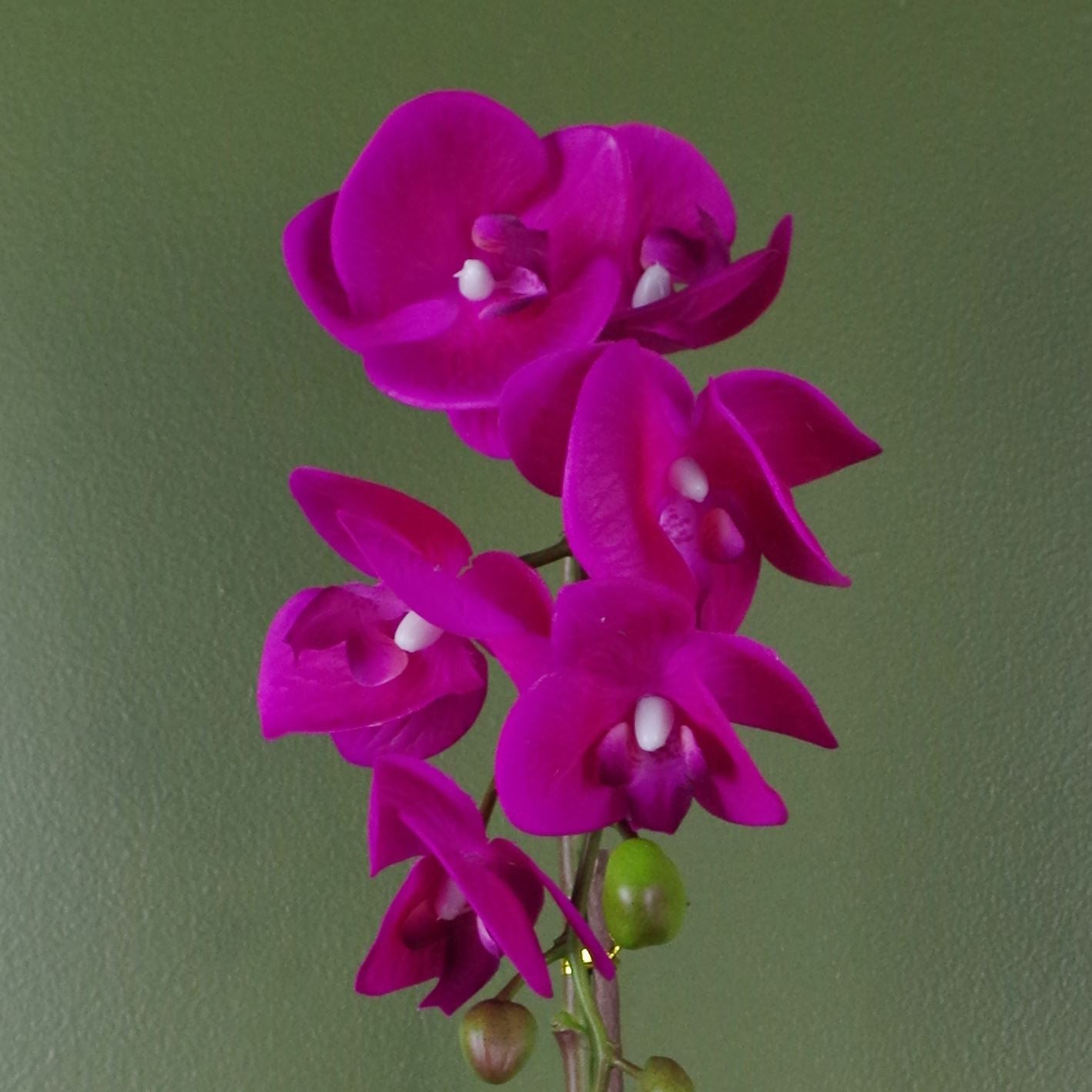 Leaf 46cm Artificial Orchid in Decorative Pot with Fixed Gravel Topping, Real Touch Flowers