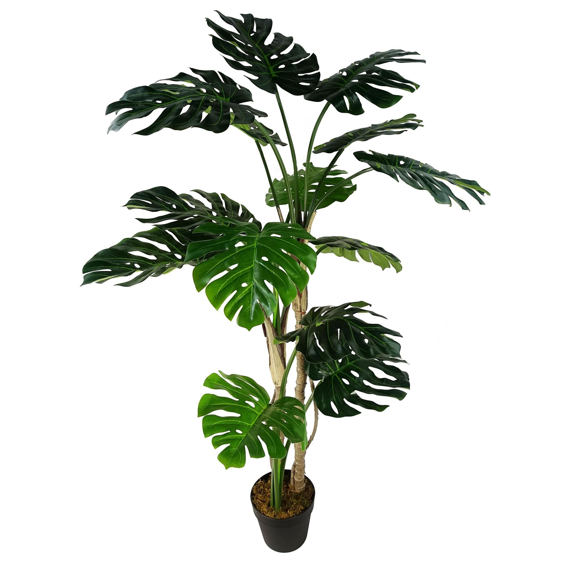Leaf Artificial Monstera Cheese Plant 150cm in Black Pot