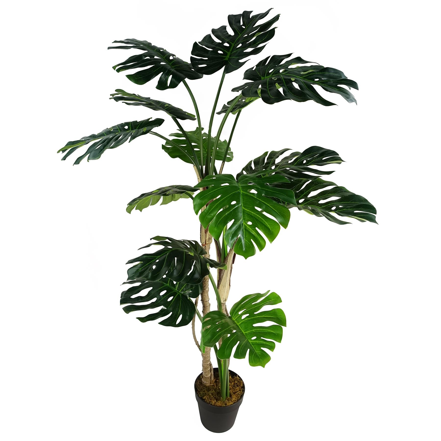 Leaf 150cm Realistic Monstera Plant in Black Pot