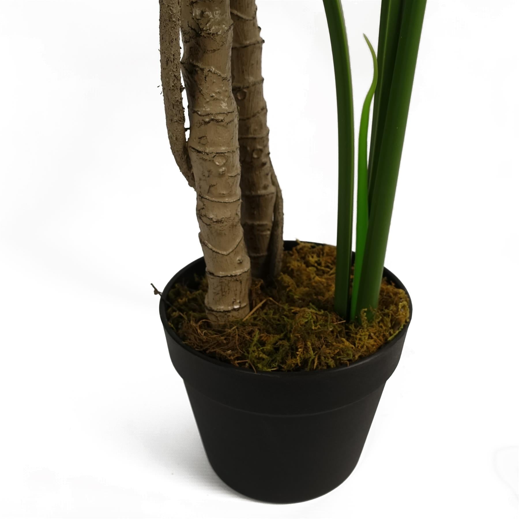 Leaf 150cm Realistic Monstera Plant in Black Pot