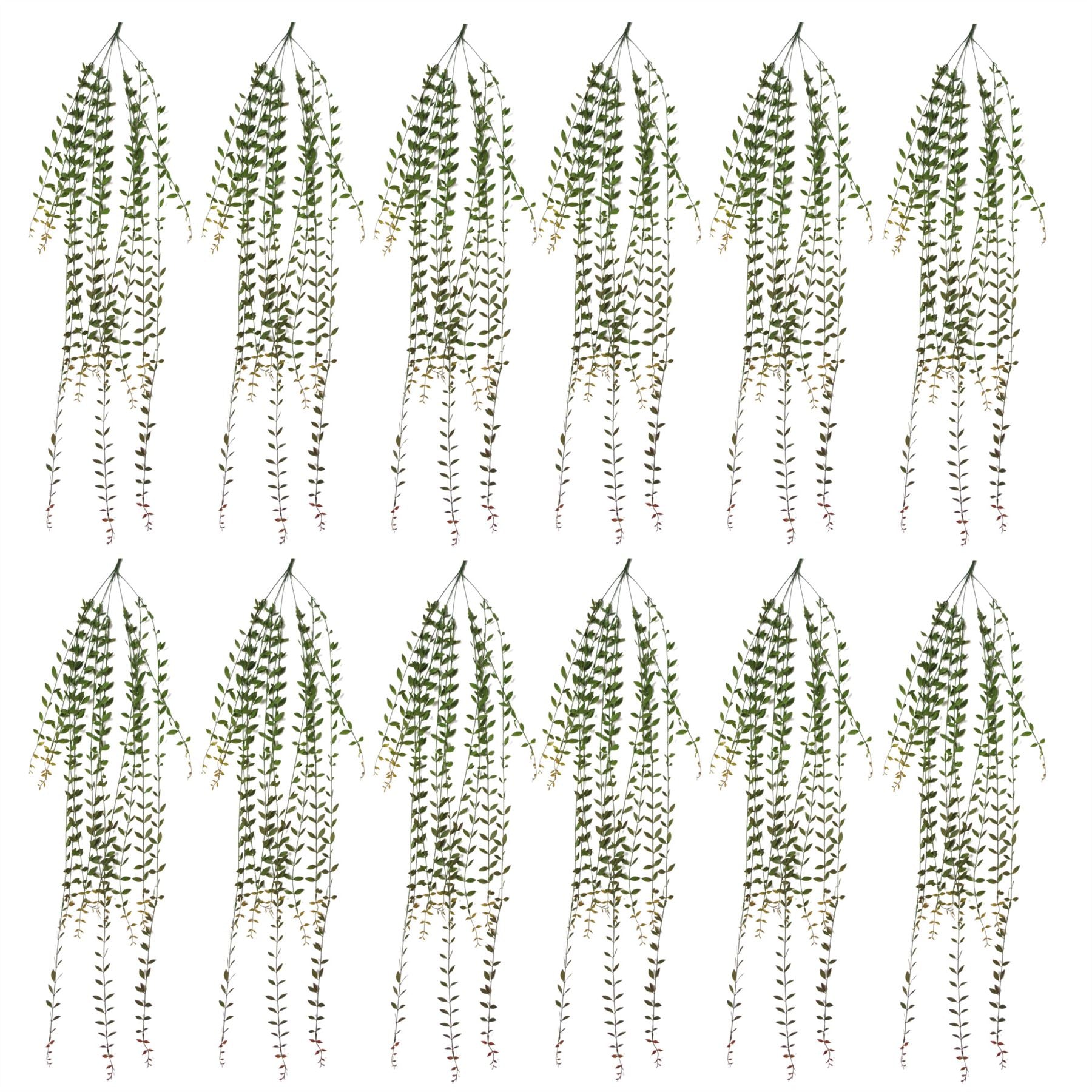 Leaf Pack of 12 Artificial Hanging String of Pearls Plants, 120cm