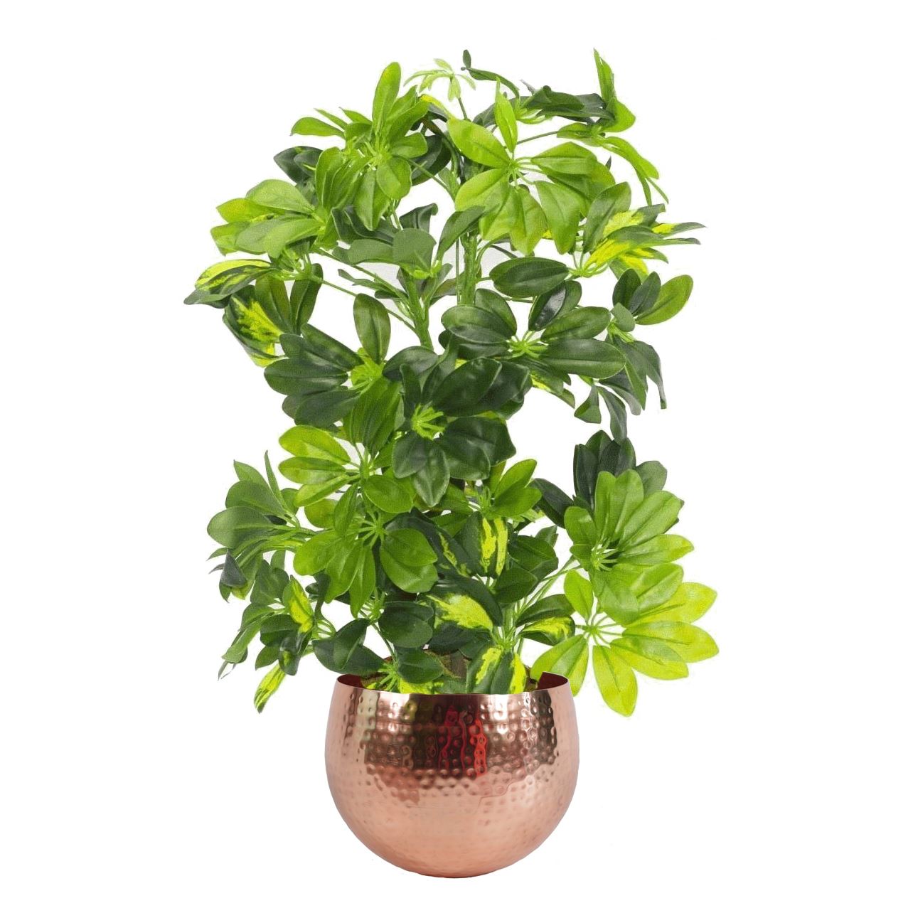 Leaf 75cm Artificial Arboricola Gold Capella Plant with Metal Planter