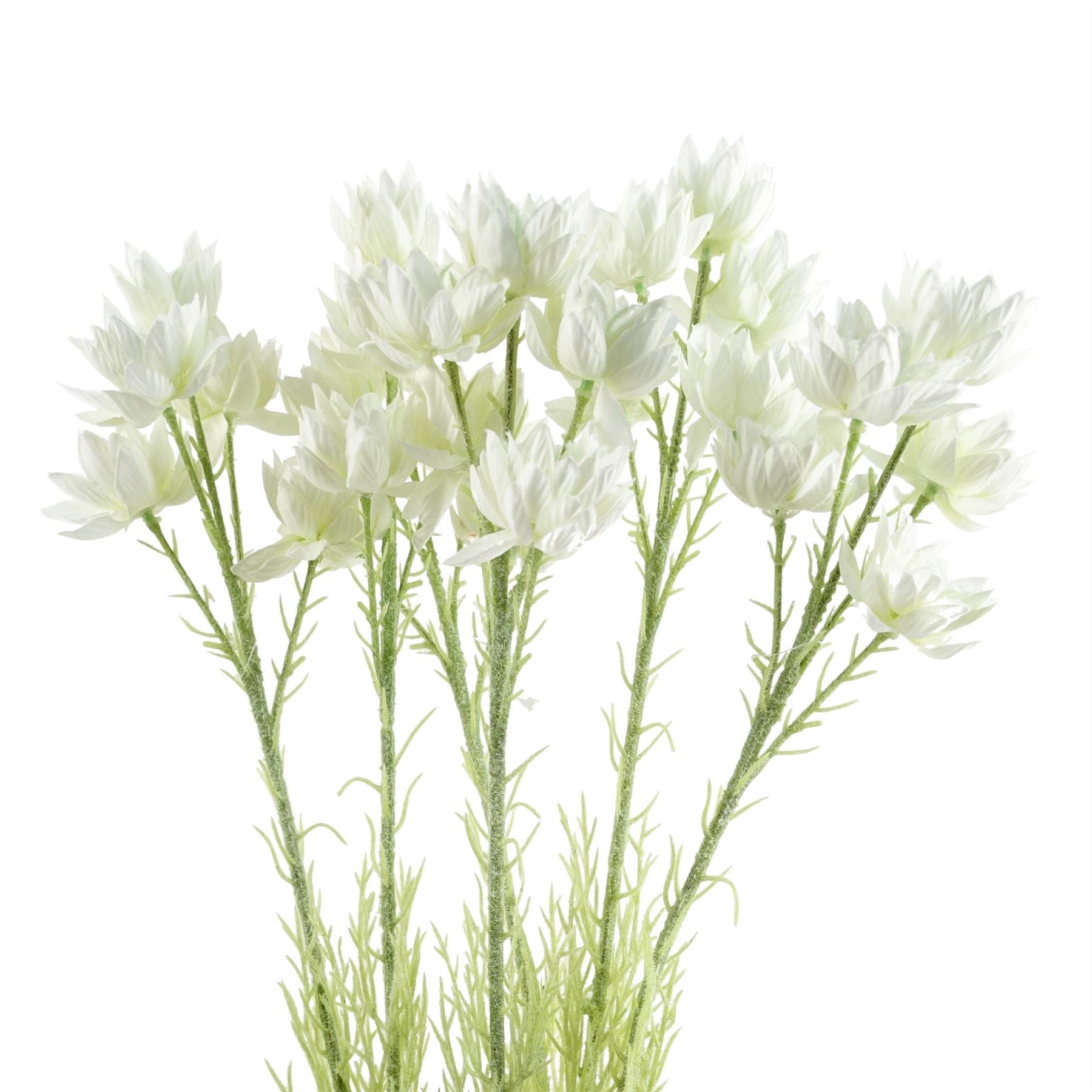 Leaf Pack of 6 White Starflower Stems 60cm - 30 Silk Flowers