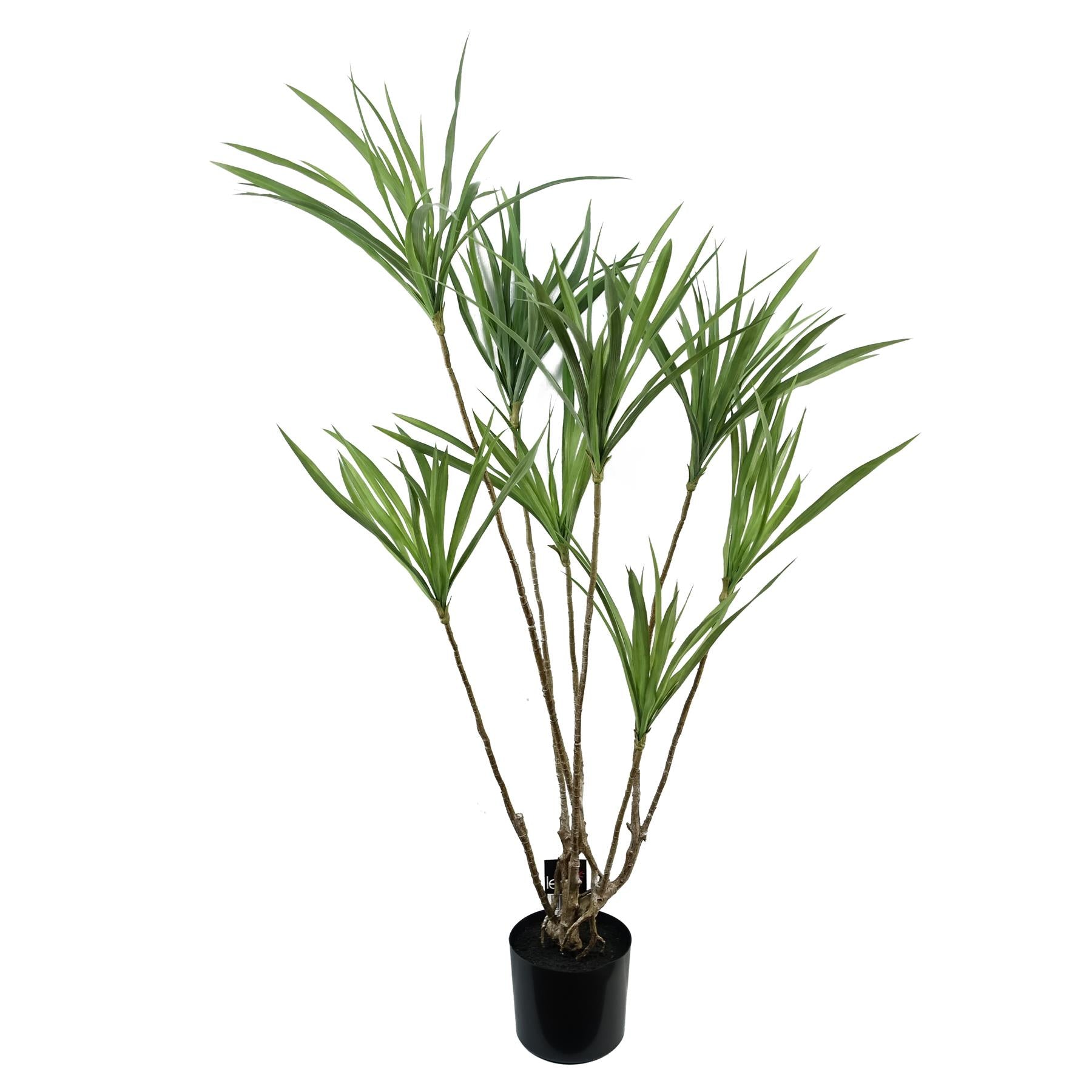 125cm Artificial Dragon Tree Dracaena Plant Natural Look in Weighted Black Pot by Leaf