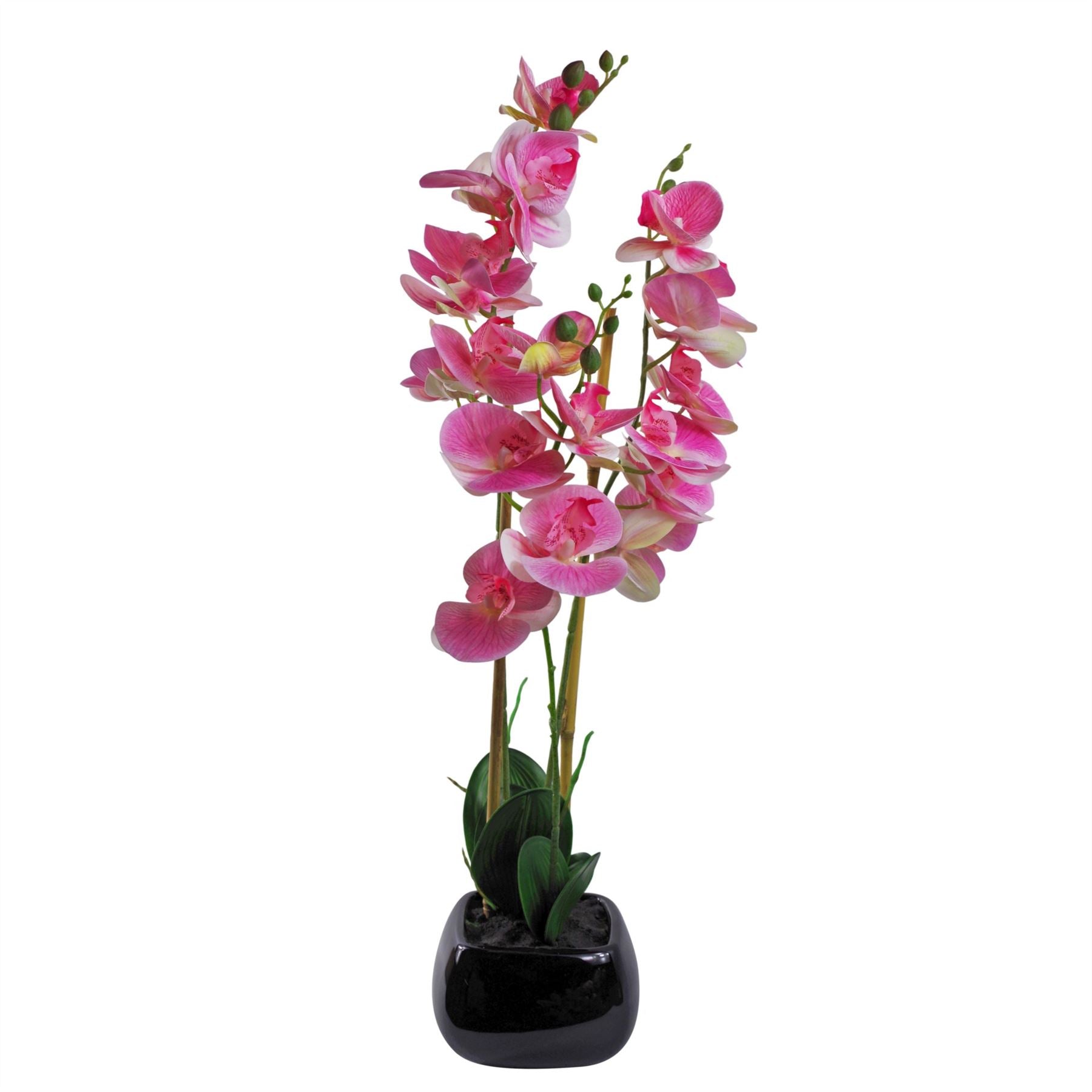Leaf Design UK 70cm Artificial Orchid Light Pink in Black Ceramic Planter